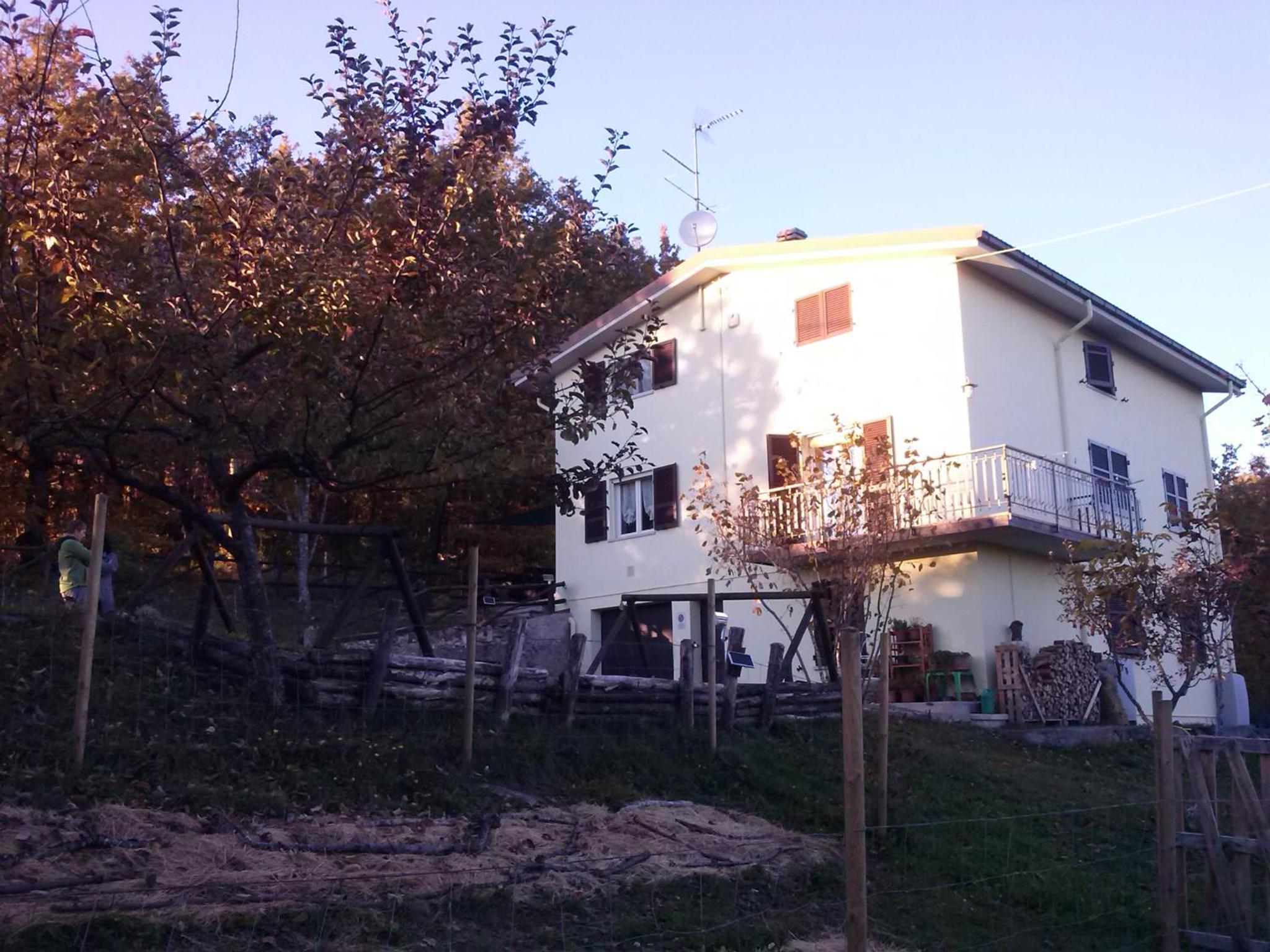 Photo 37