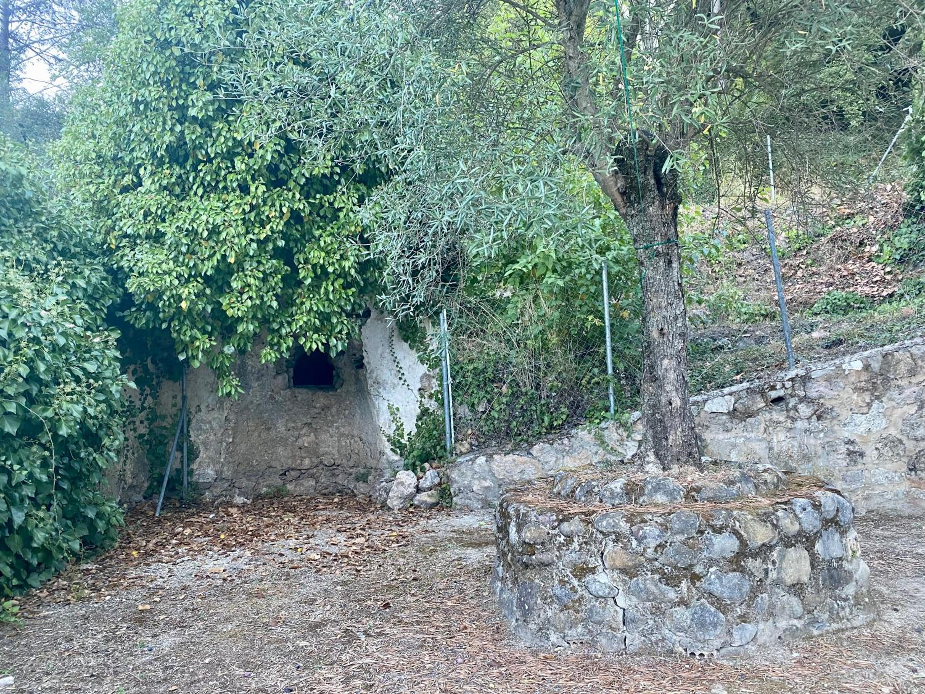 Photo 28