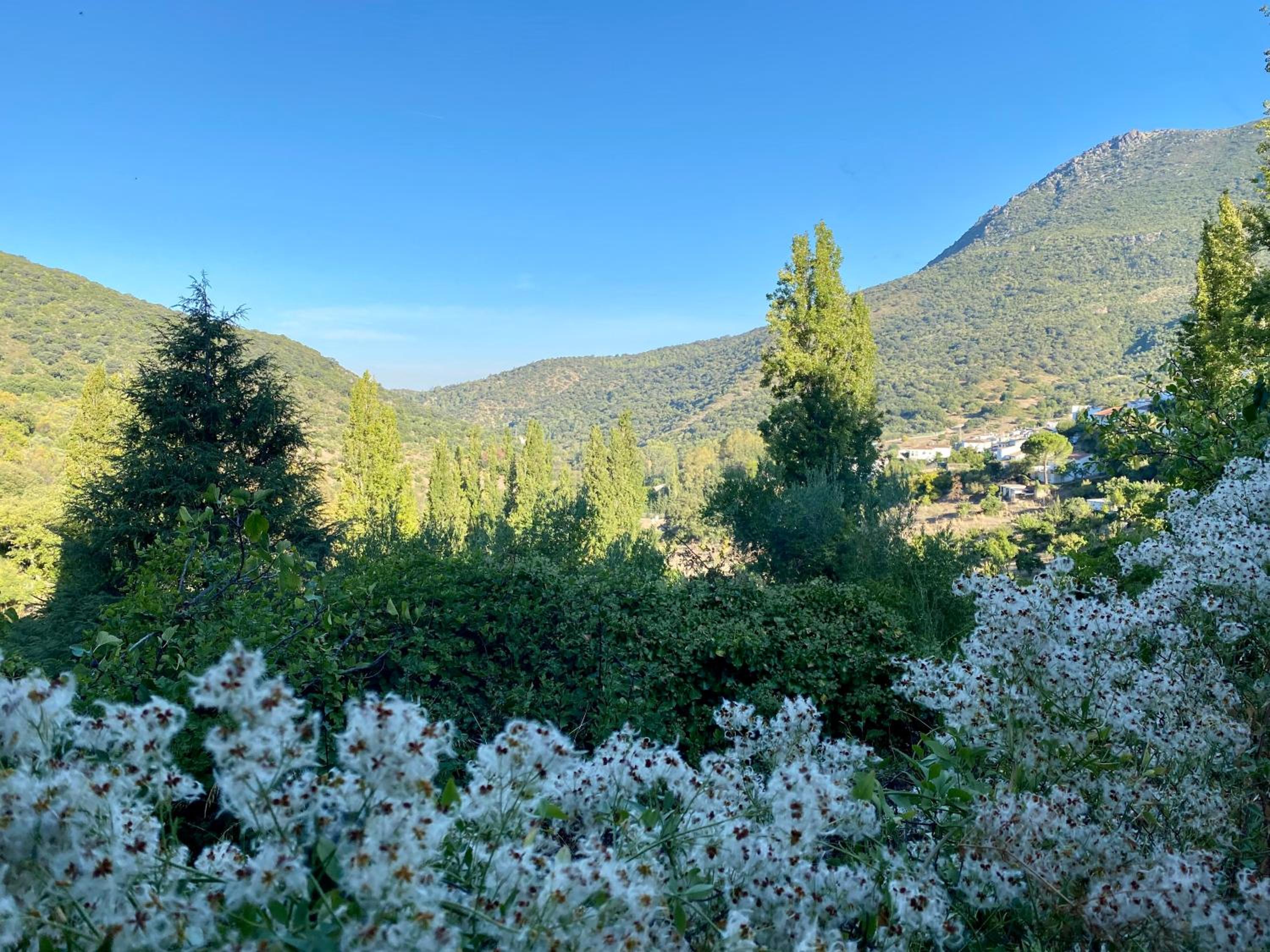 Stay Wild en Las Casitas de Huerta Arriba view 5