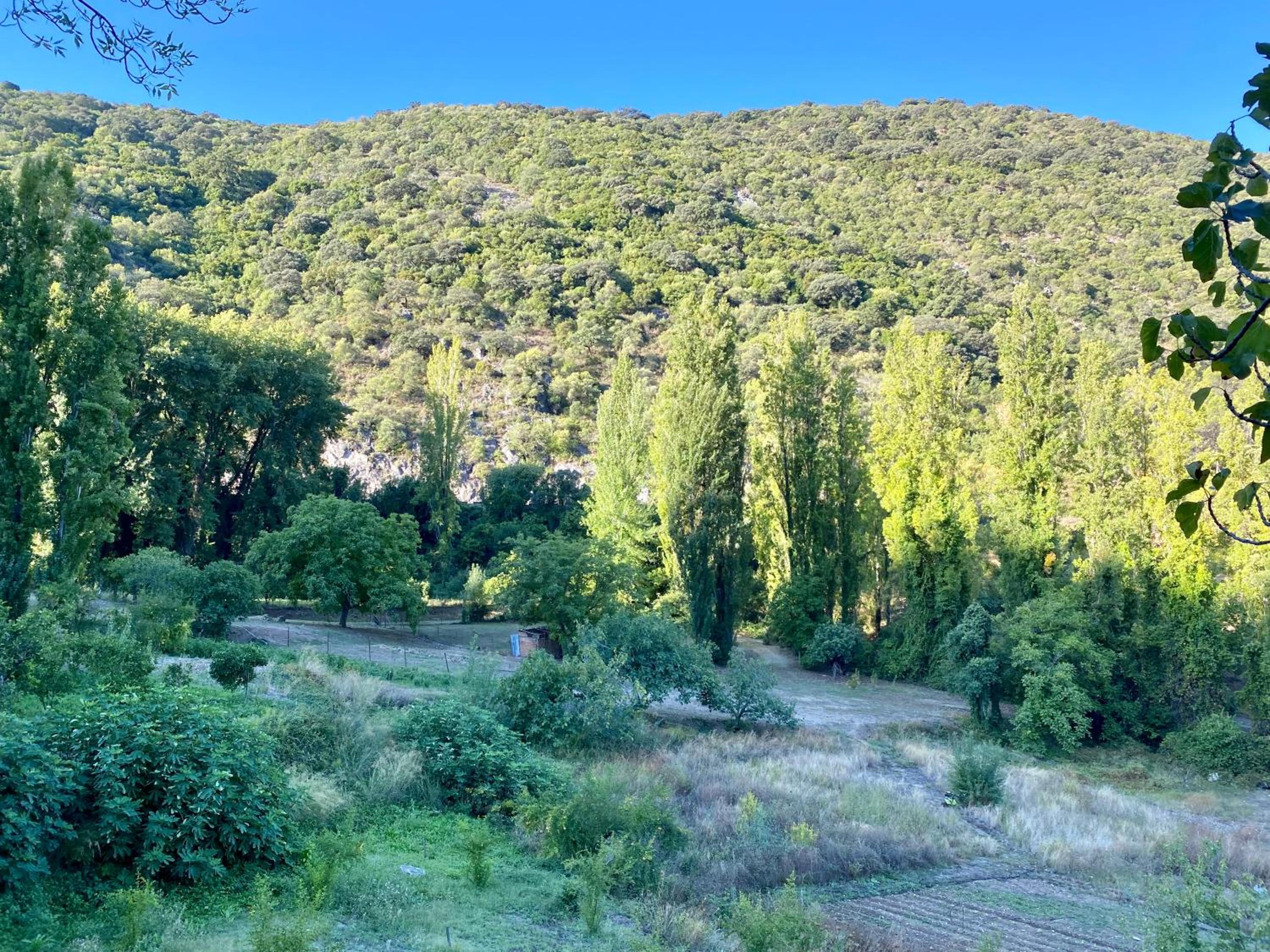 Stay Wild en Las Casitas de Huerta Arriba view 4
