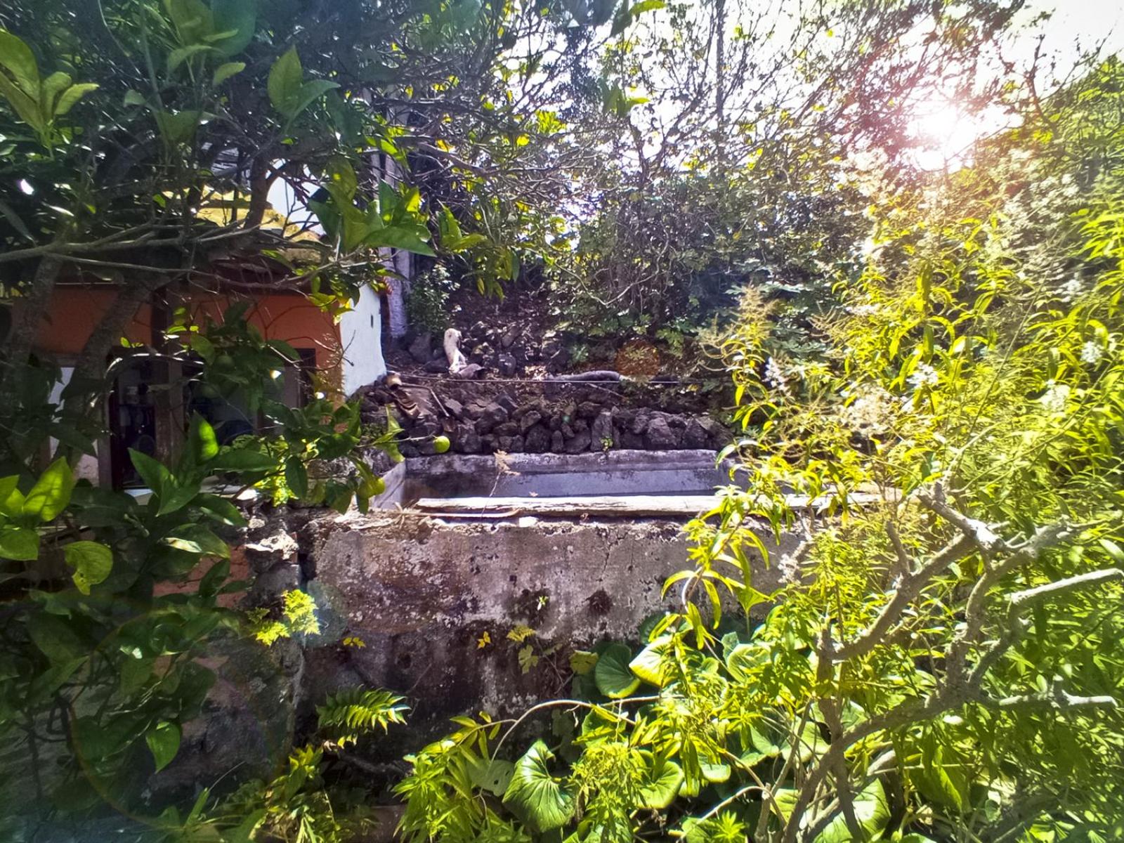 Casa Primavera