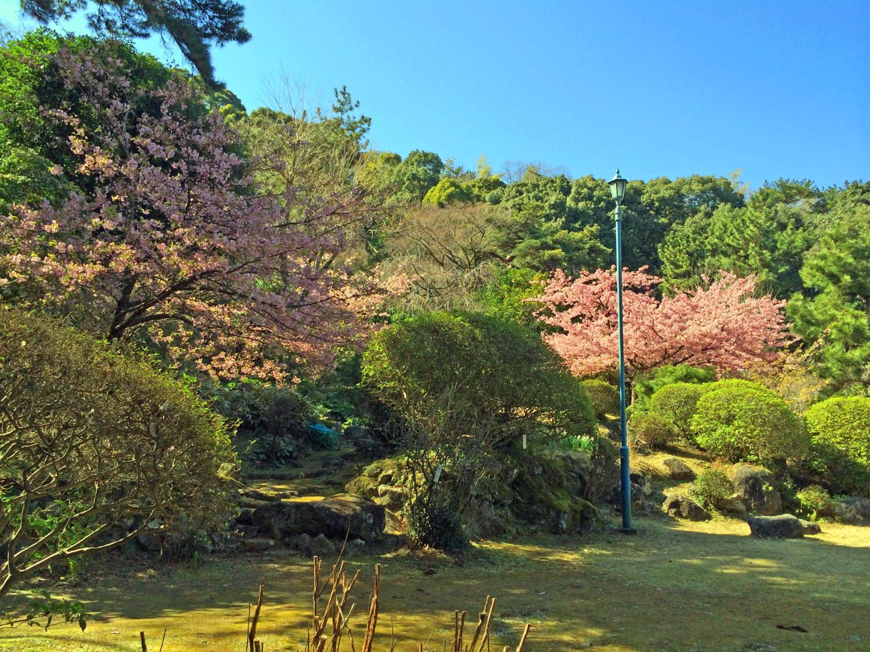 Izuajiro-onsen Shoufuen