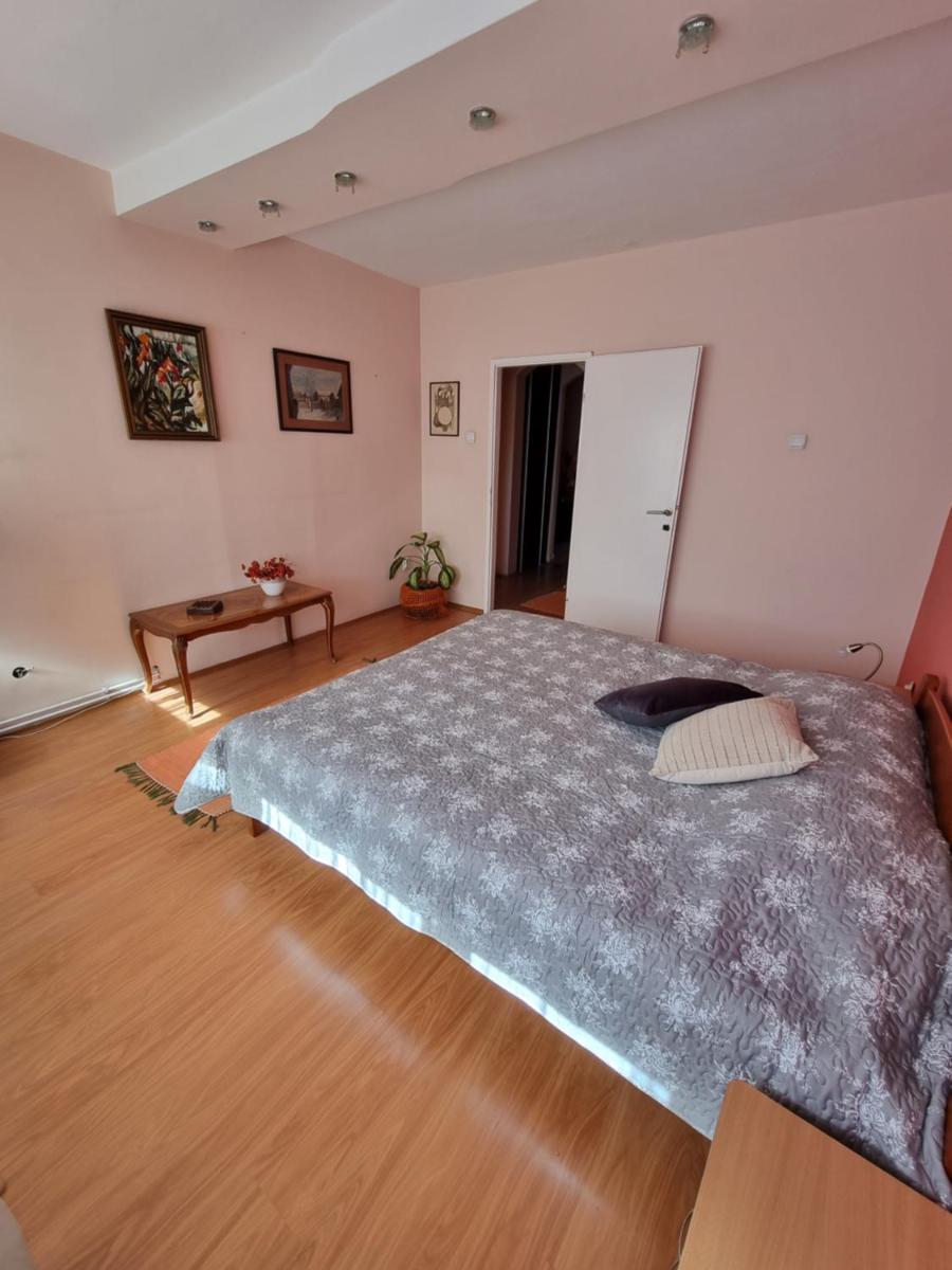 Deluxe Voždovac Apartment view 5