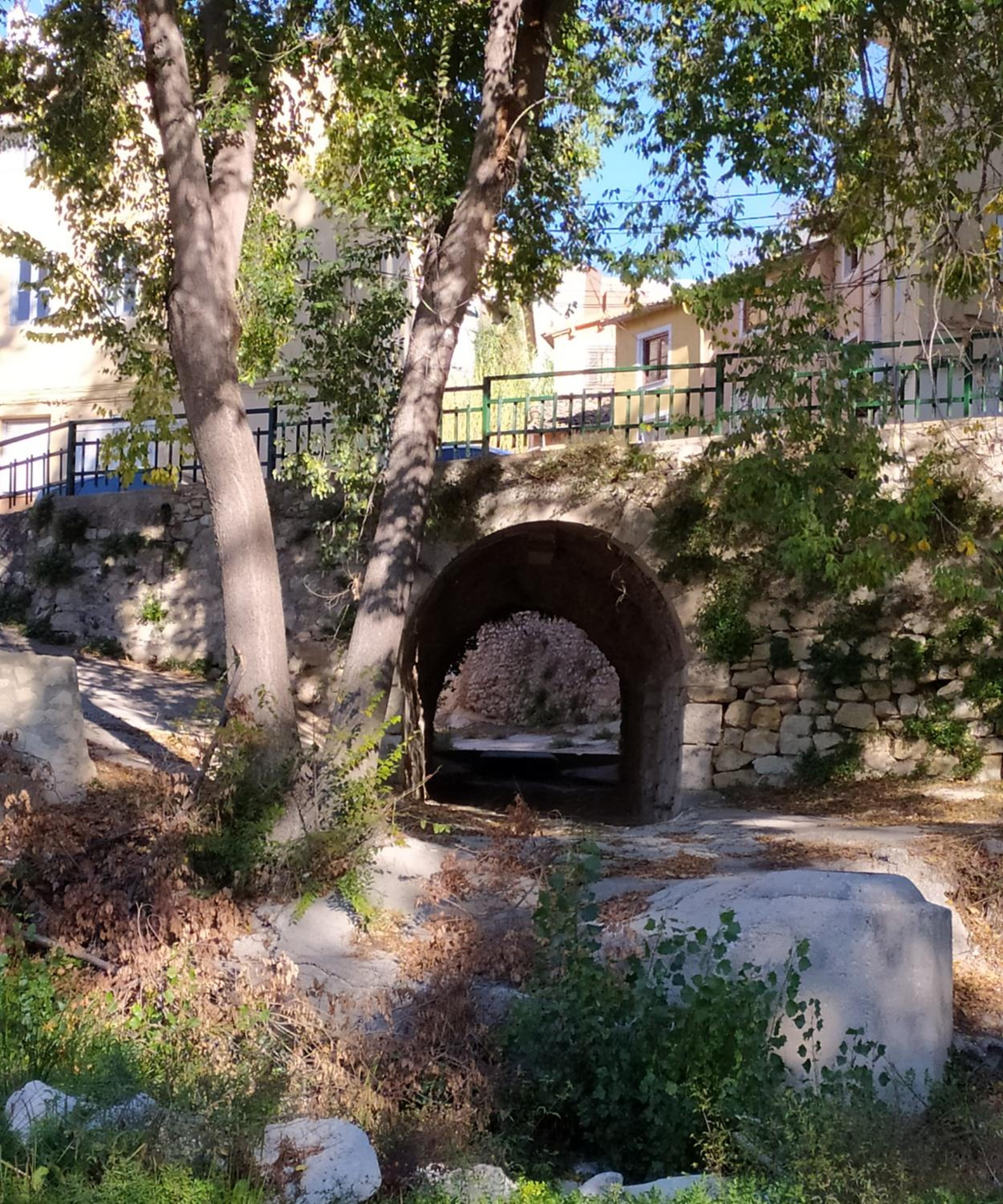 Photo 16