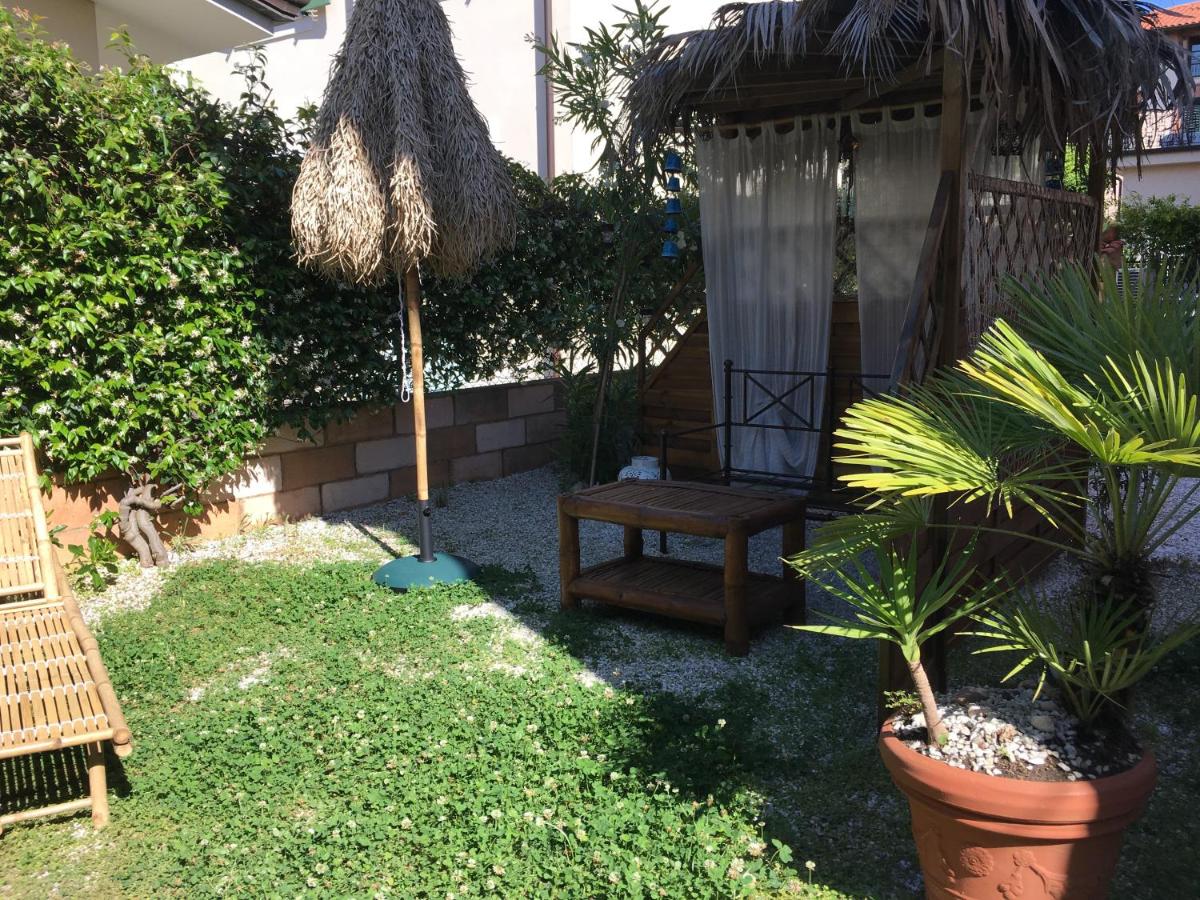 Photo 41