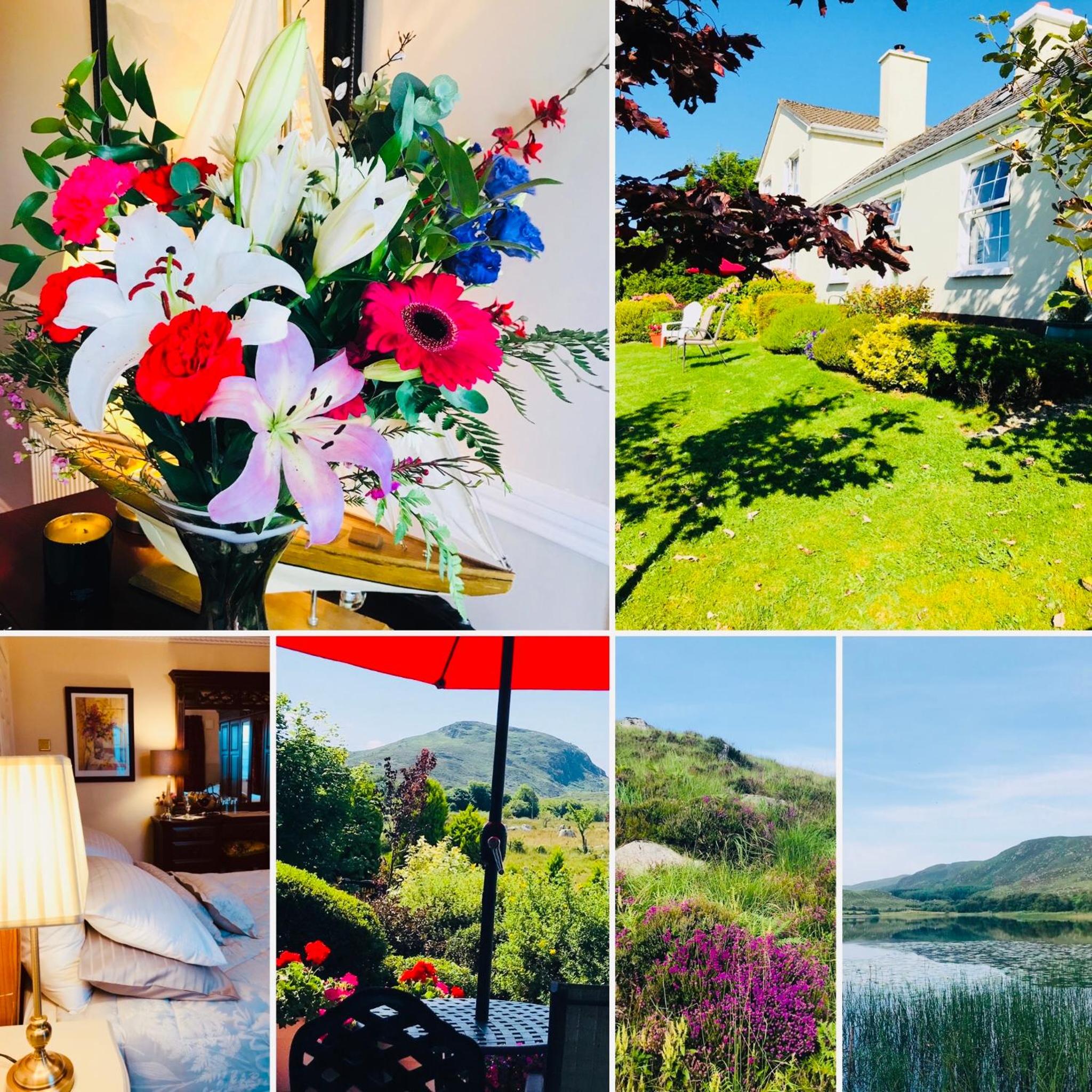 Hillcrest farmhouse Bed & Breakfast