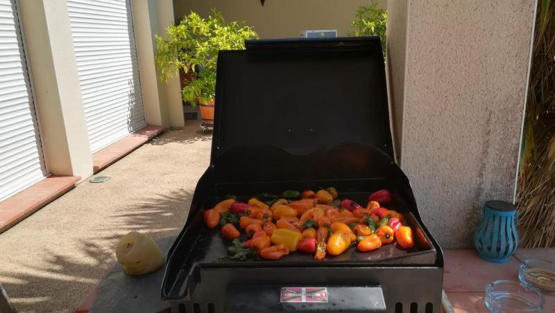 Photo 23