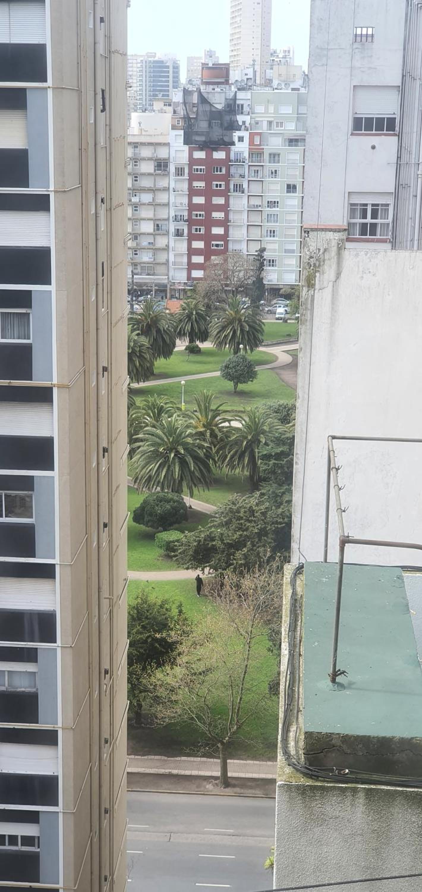 Mi Lugar en el Mundo