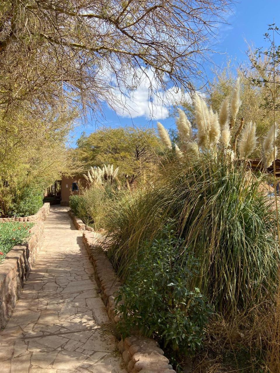 Ckoi Atacama Lodge