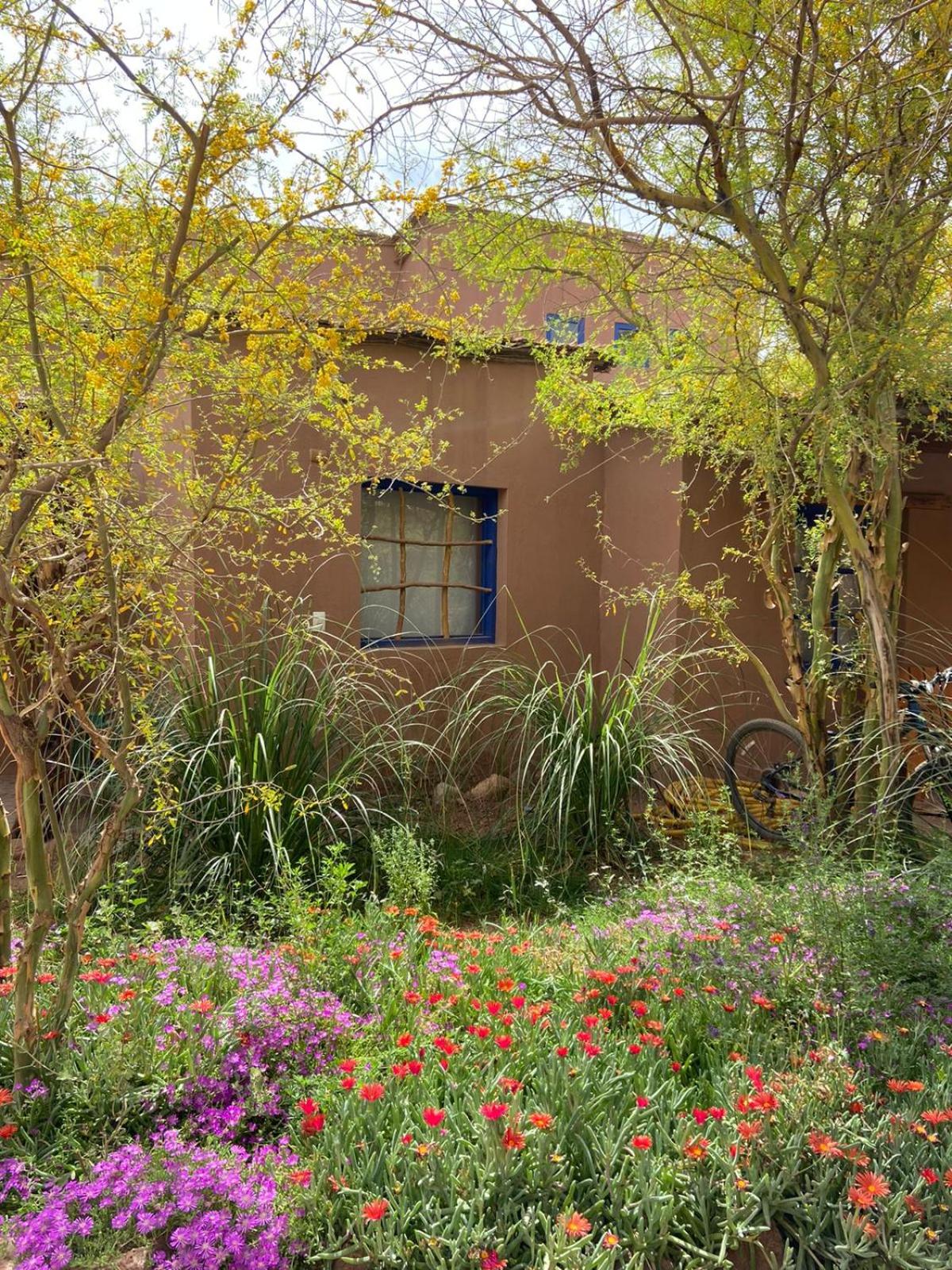 Ckoi Atacama Lodge