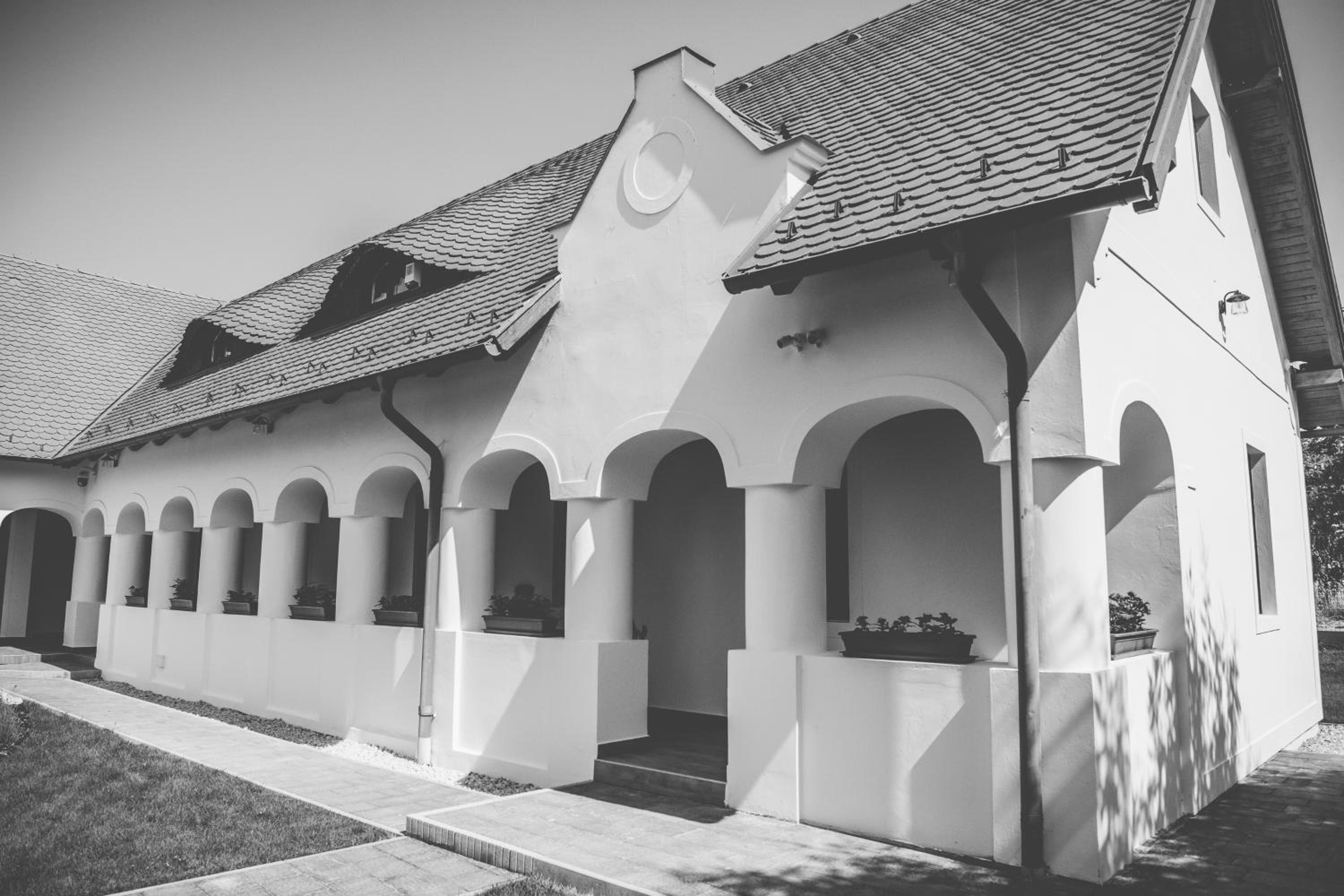 Photo 45