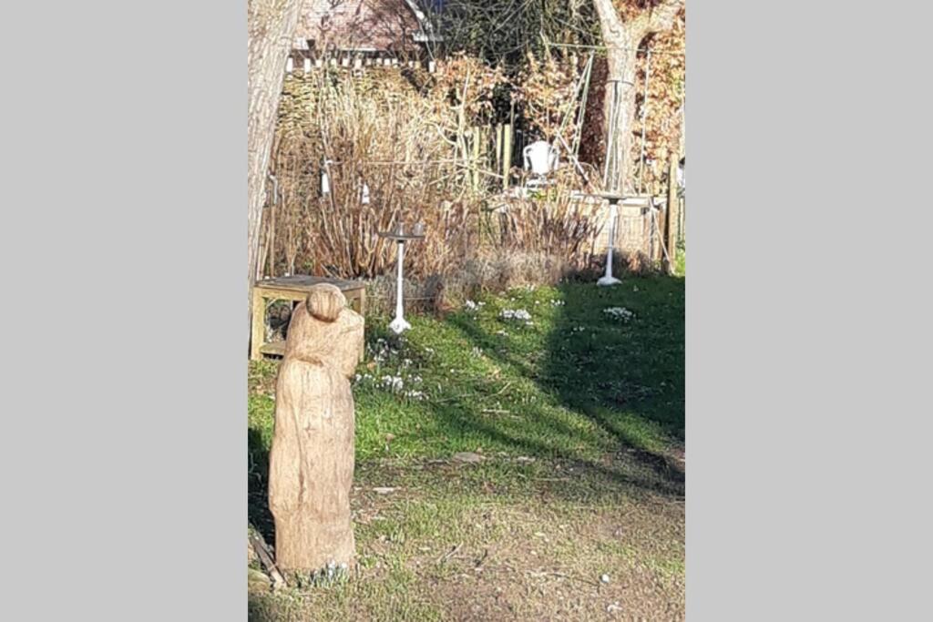 Photo 27