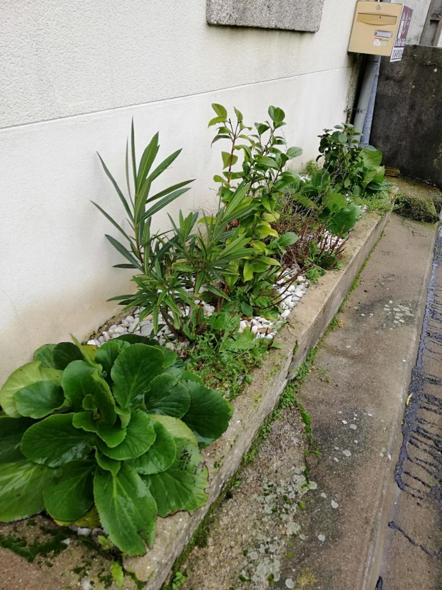 Photo 28