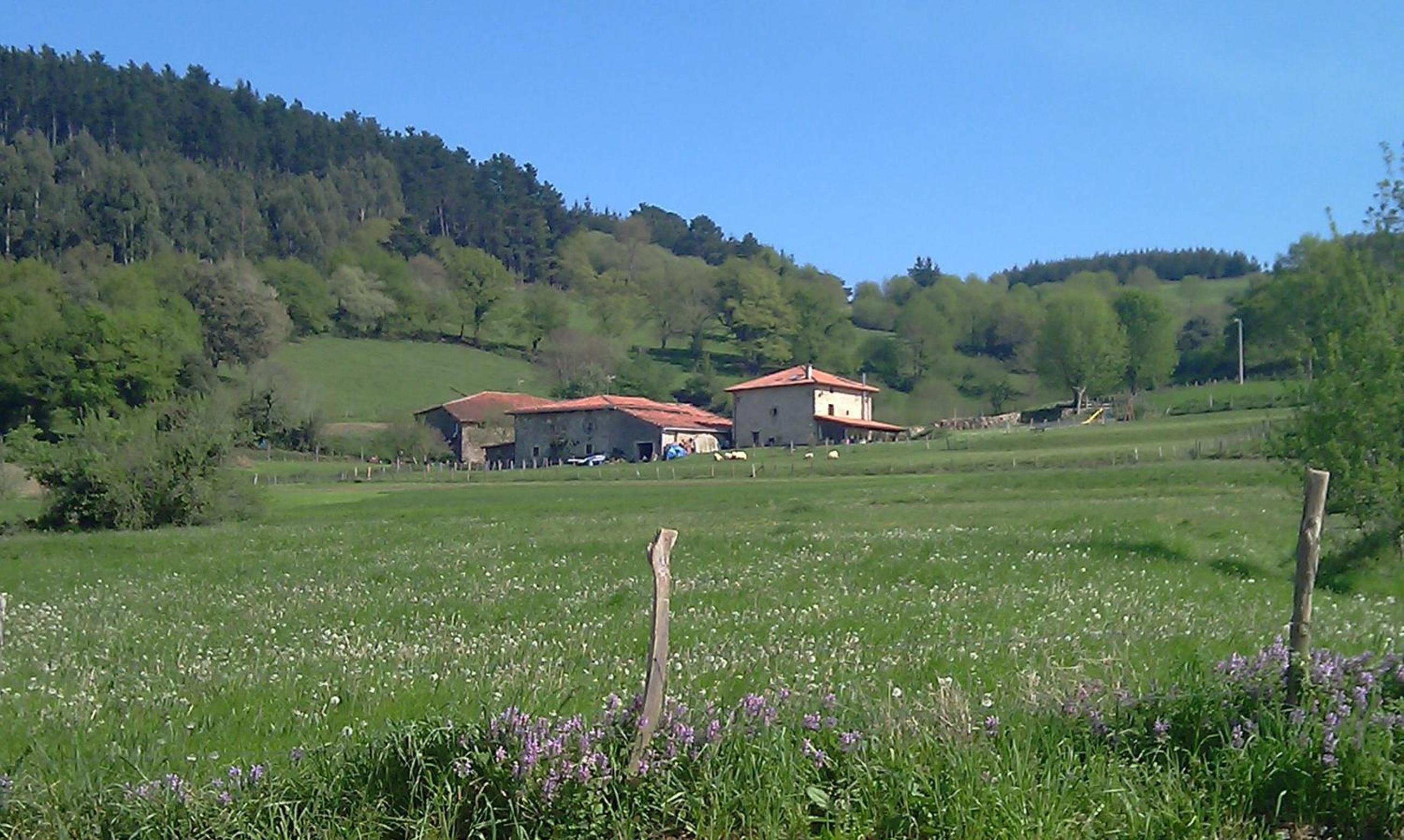Photo 11