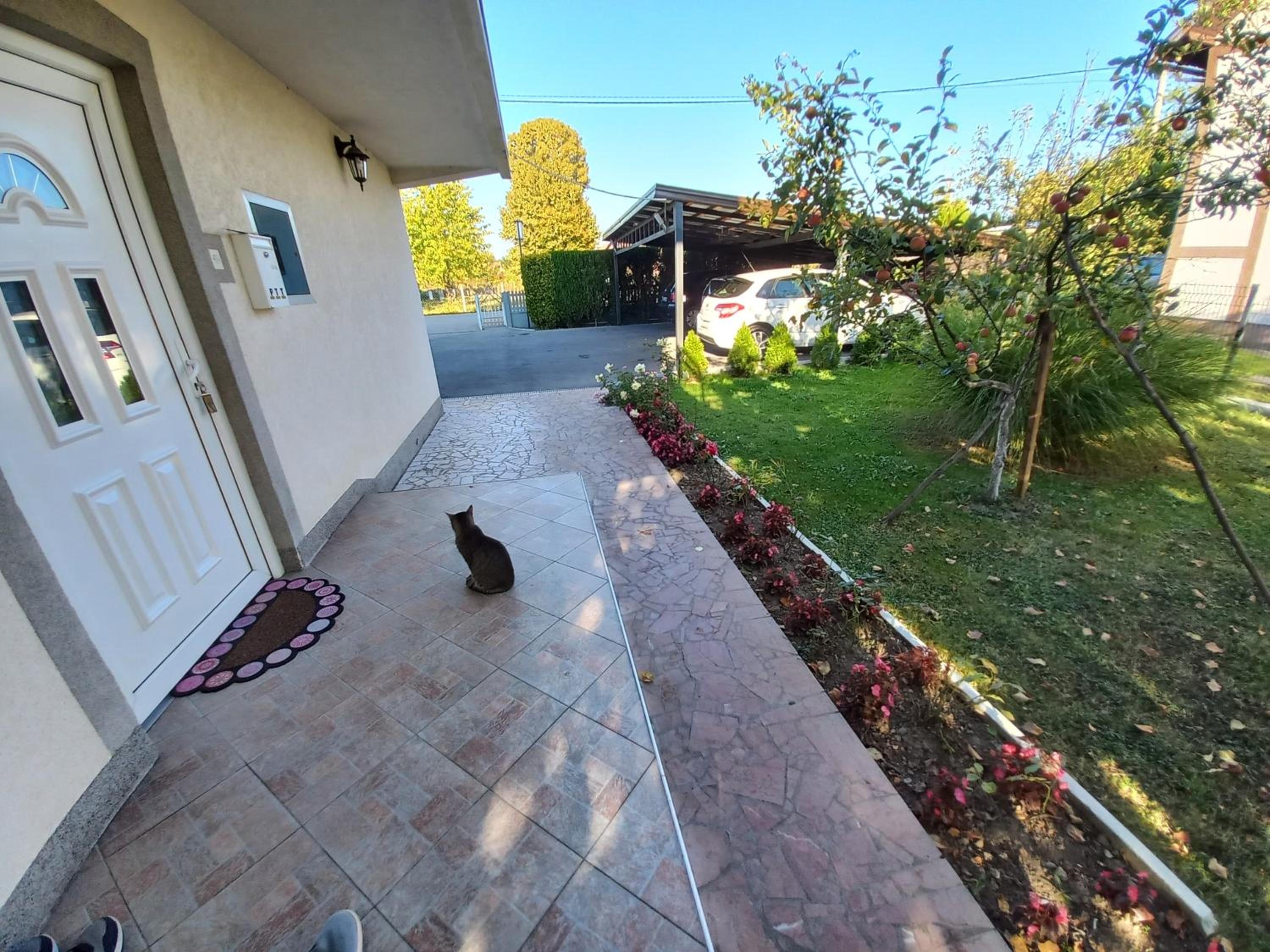 Apartmani Denis