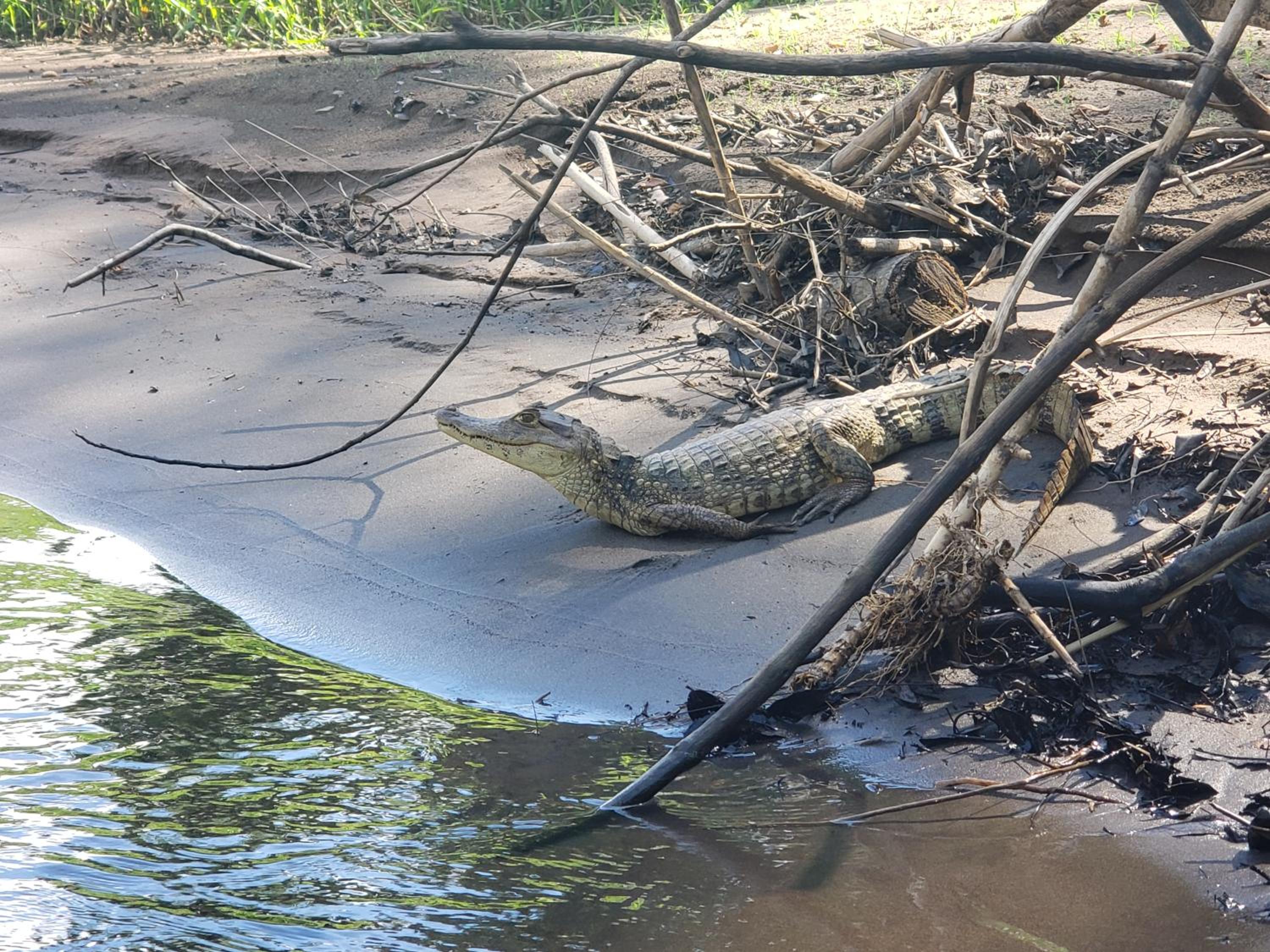 Hospedaje Casa THIREMA Tortuguero