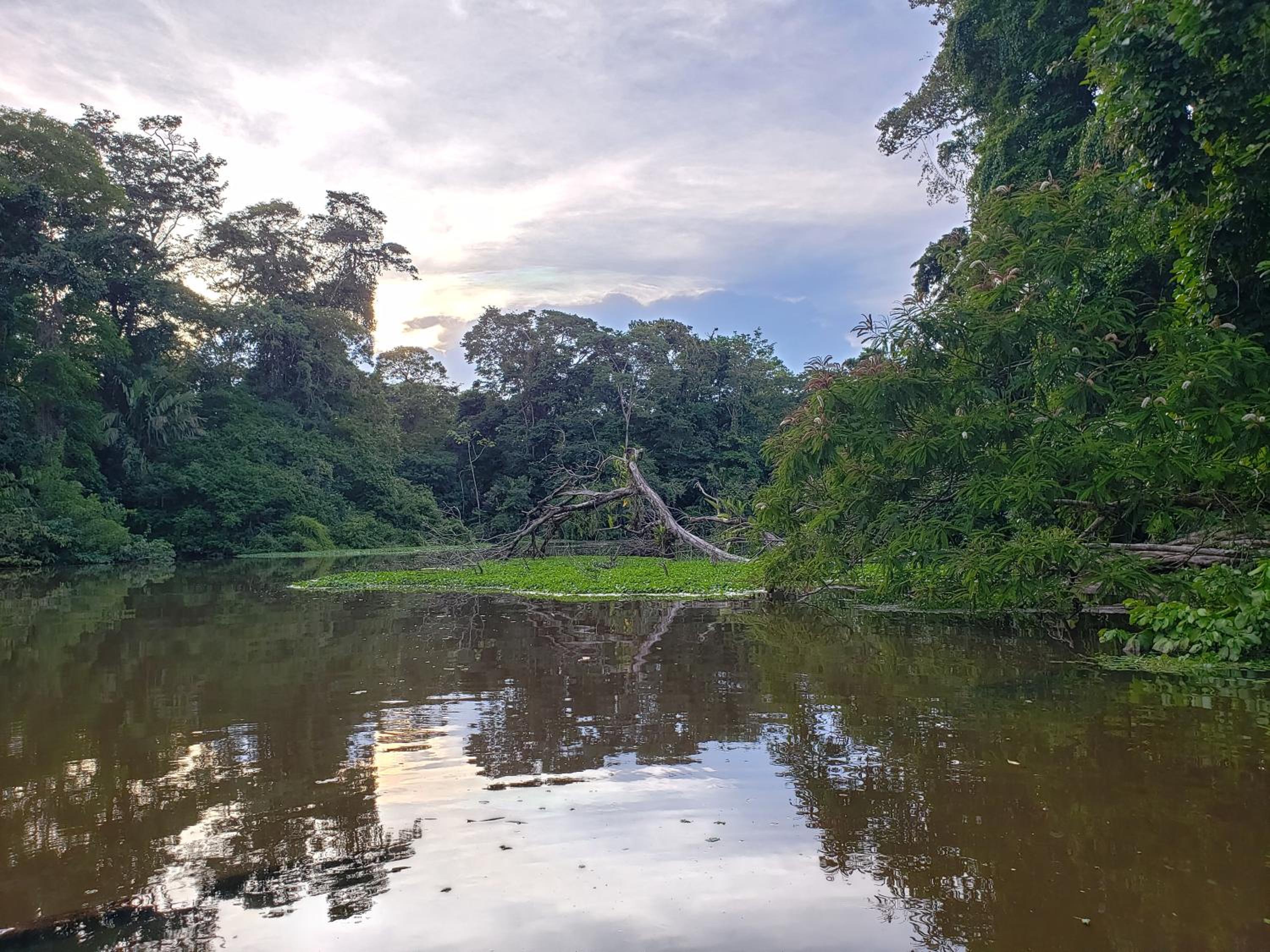 Hospedaje Casa THIREMA Tortuguero