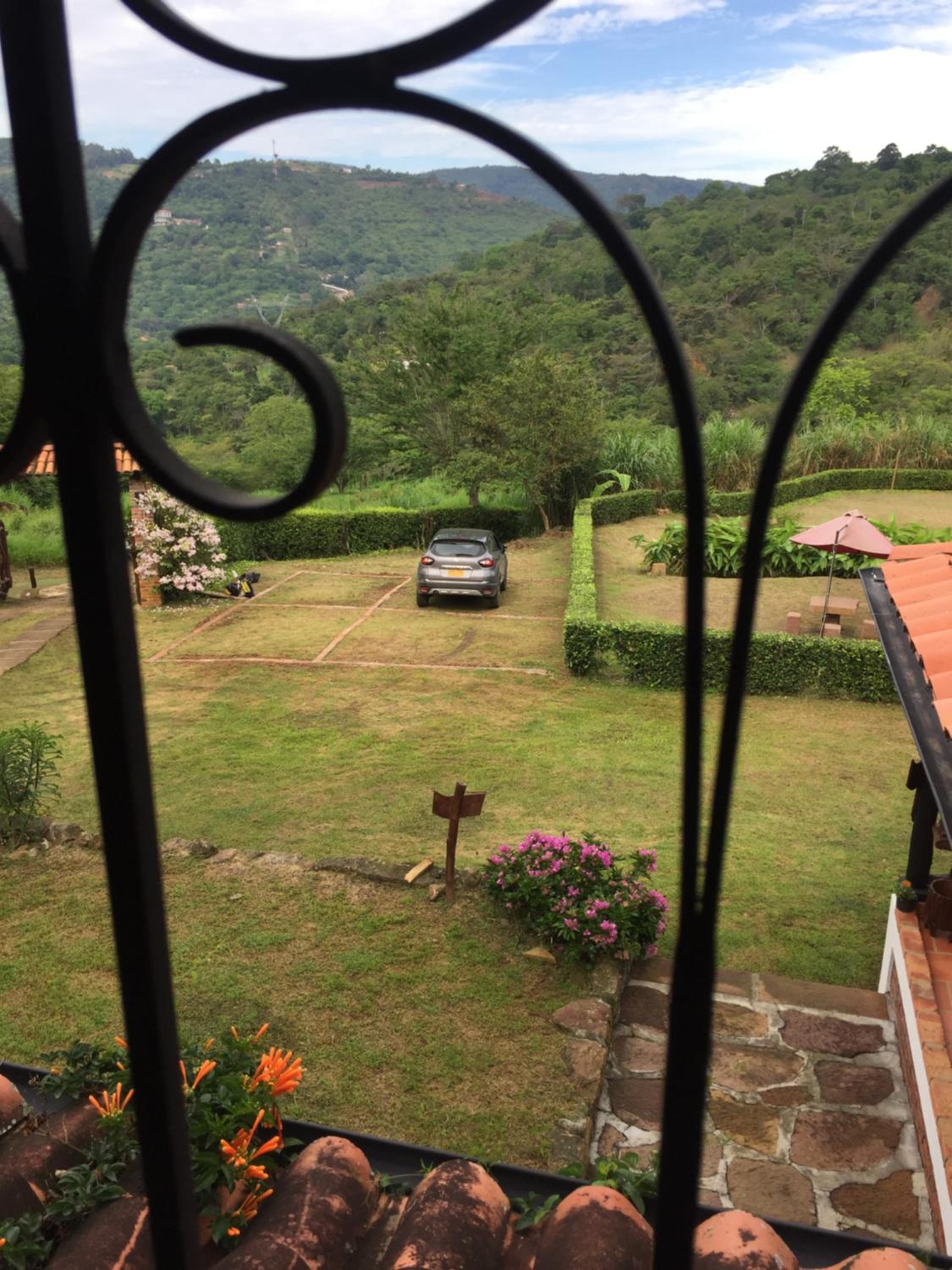 Photo 11