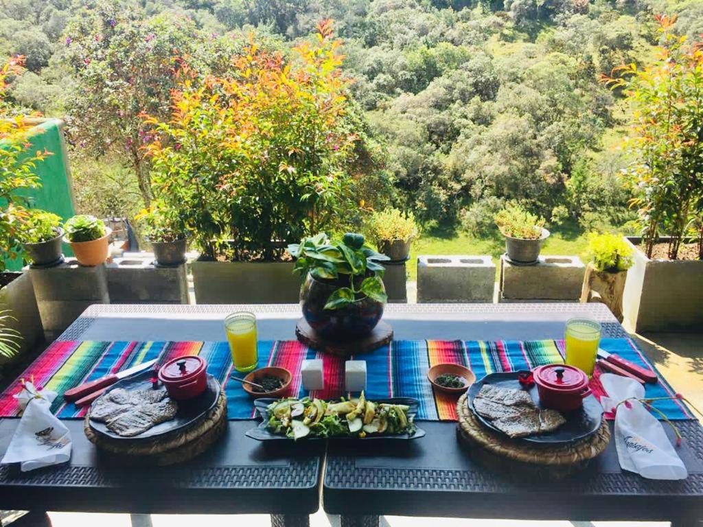 FINCA HOTEL ZONA SIETE en Rionegro