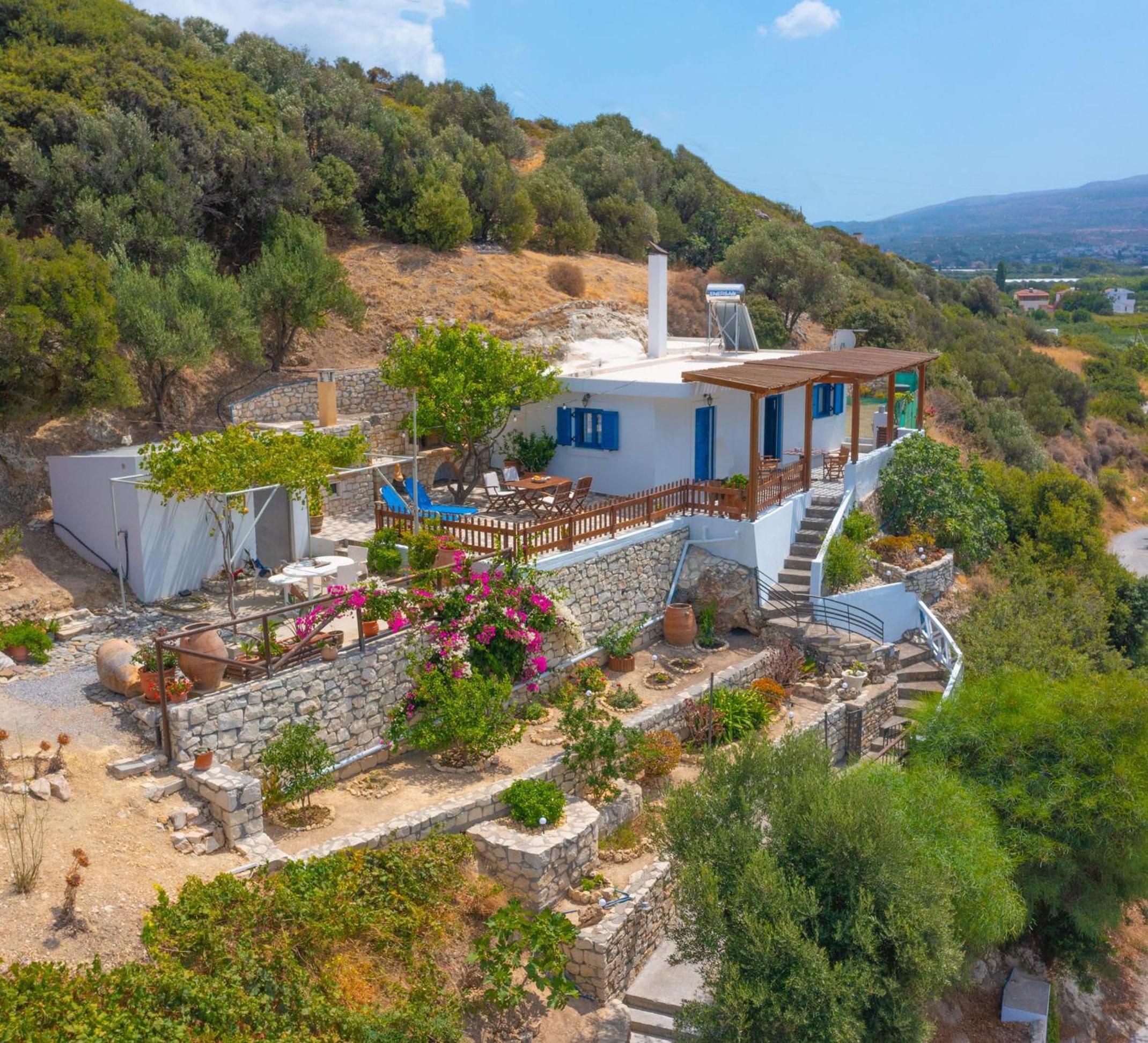 The Rock & The Lemon Tree view 2