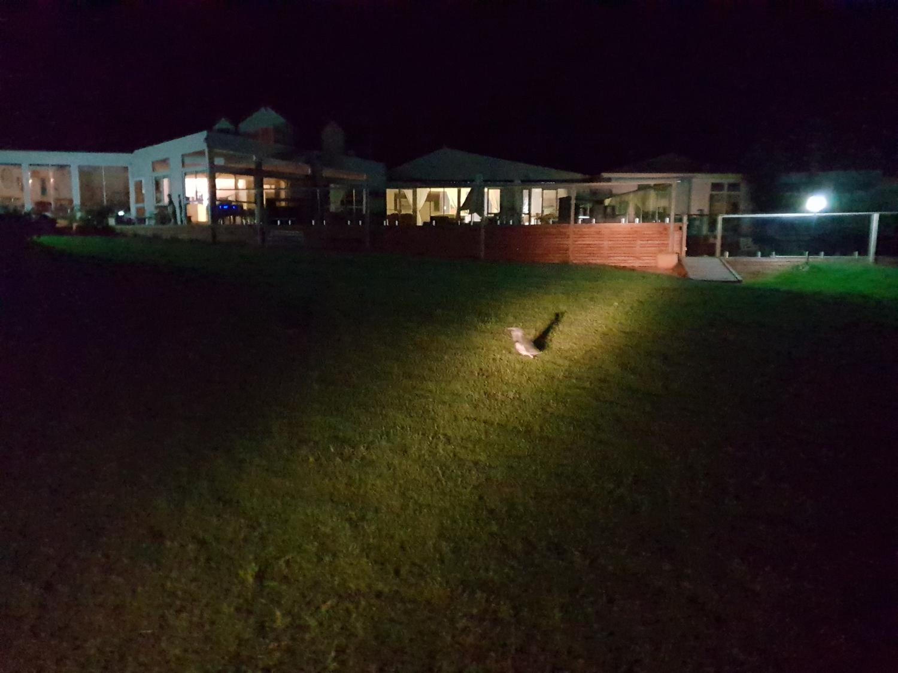 Diamond Island Resort, Restaurant & Bar and Penguin Show