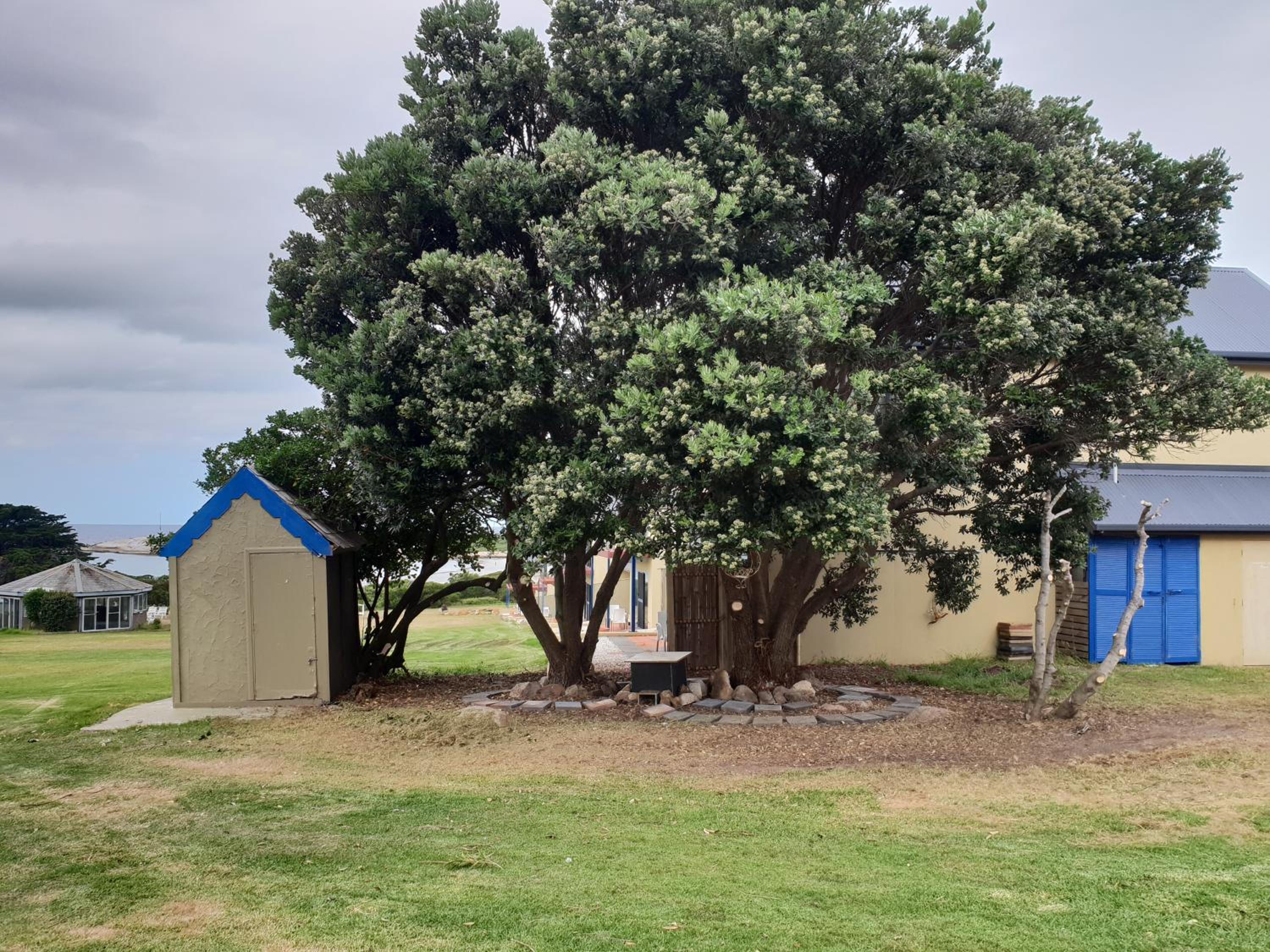 Diamond Island Resort, Restaurant & Bar and Penguin Show