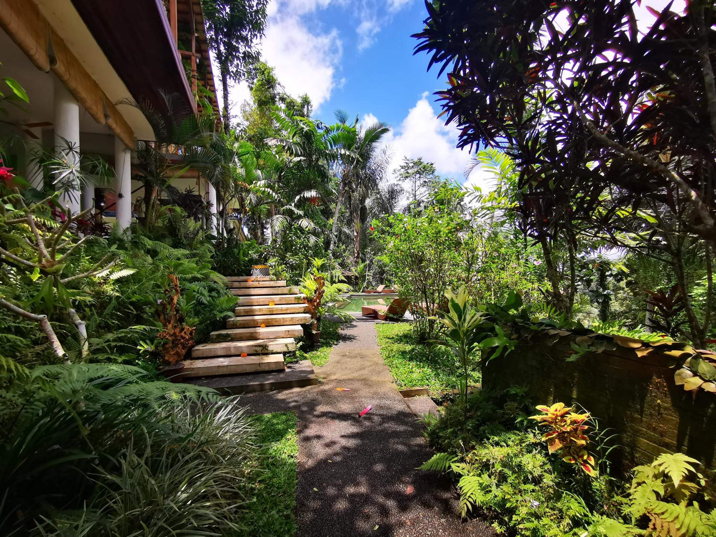 Villa Rimba Ubud view 4