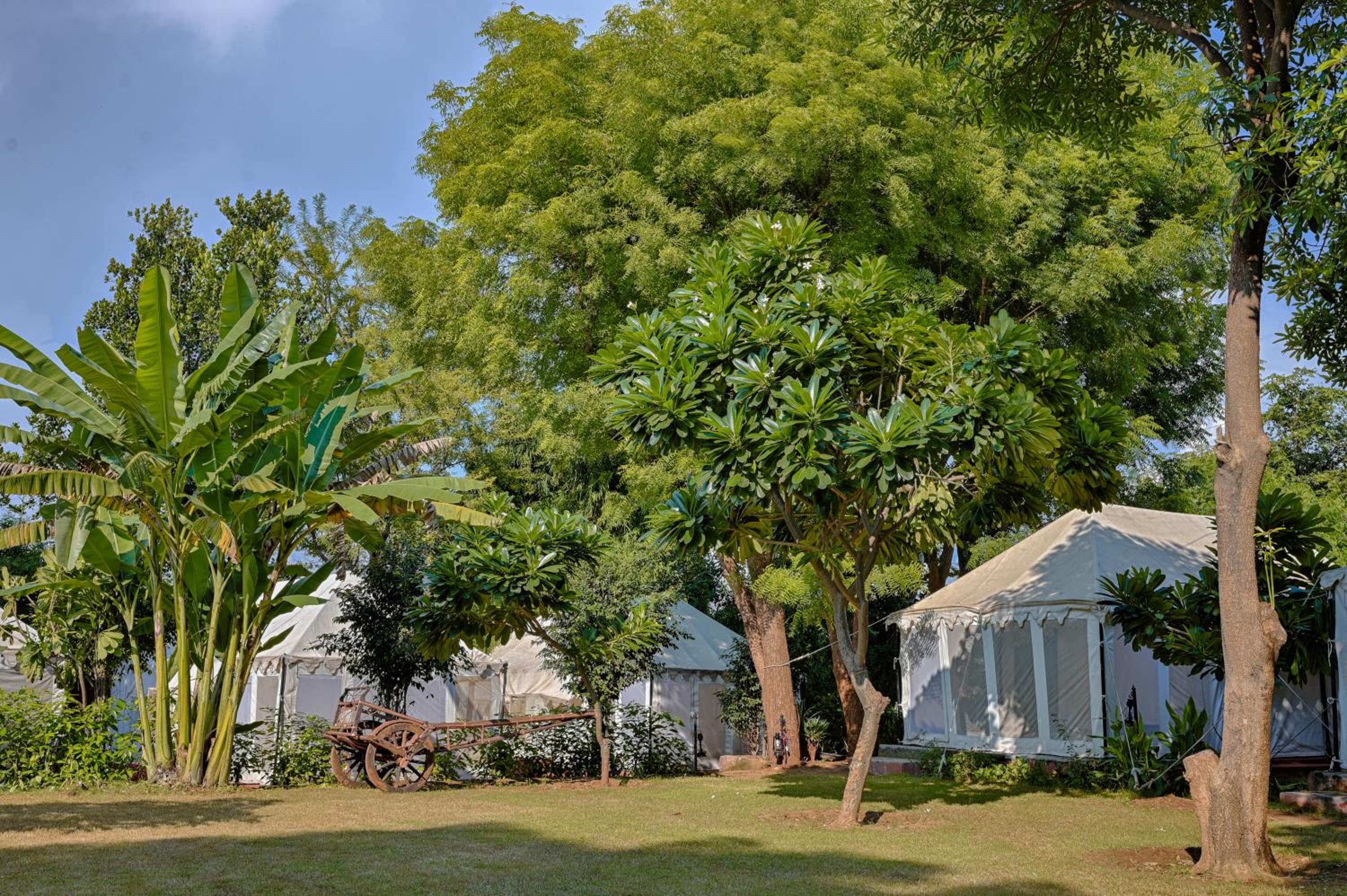 Ranthambore Tiger Resort