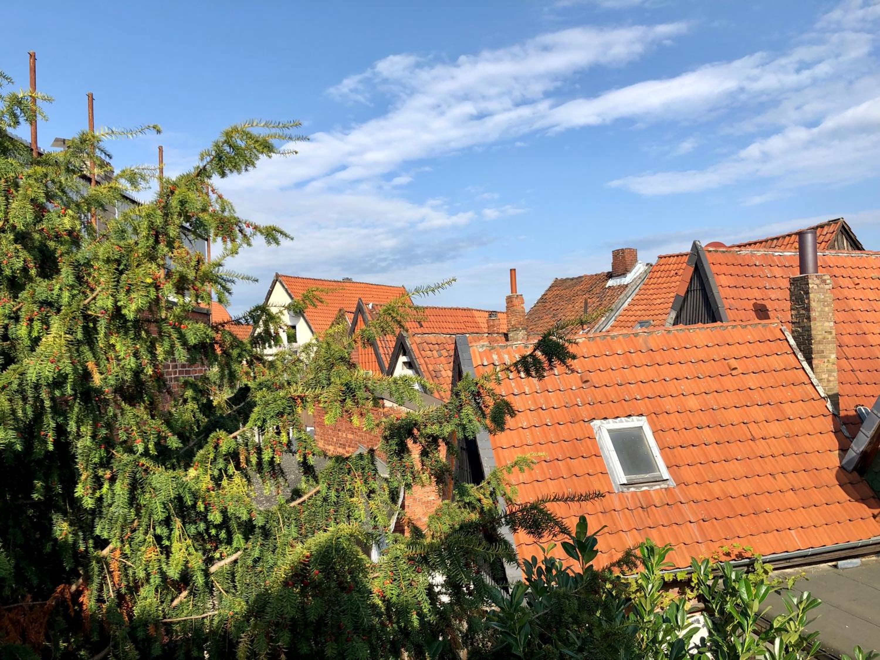 Celle Old Town Hideaway - Property Image 76