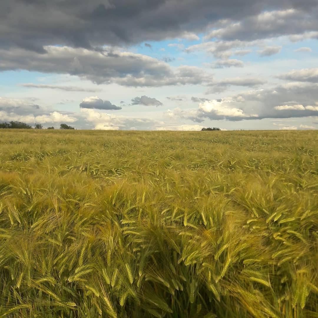 Gite La Petite Beurrerie des Ardennes