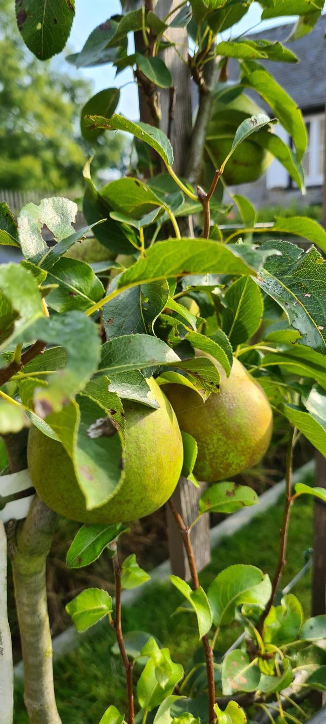 Gite La Petite Beurrerie des Ardennes