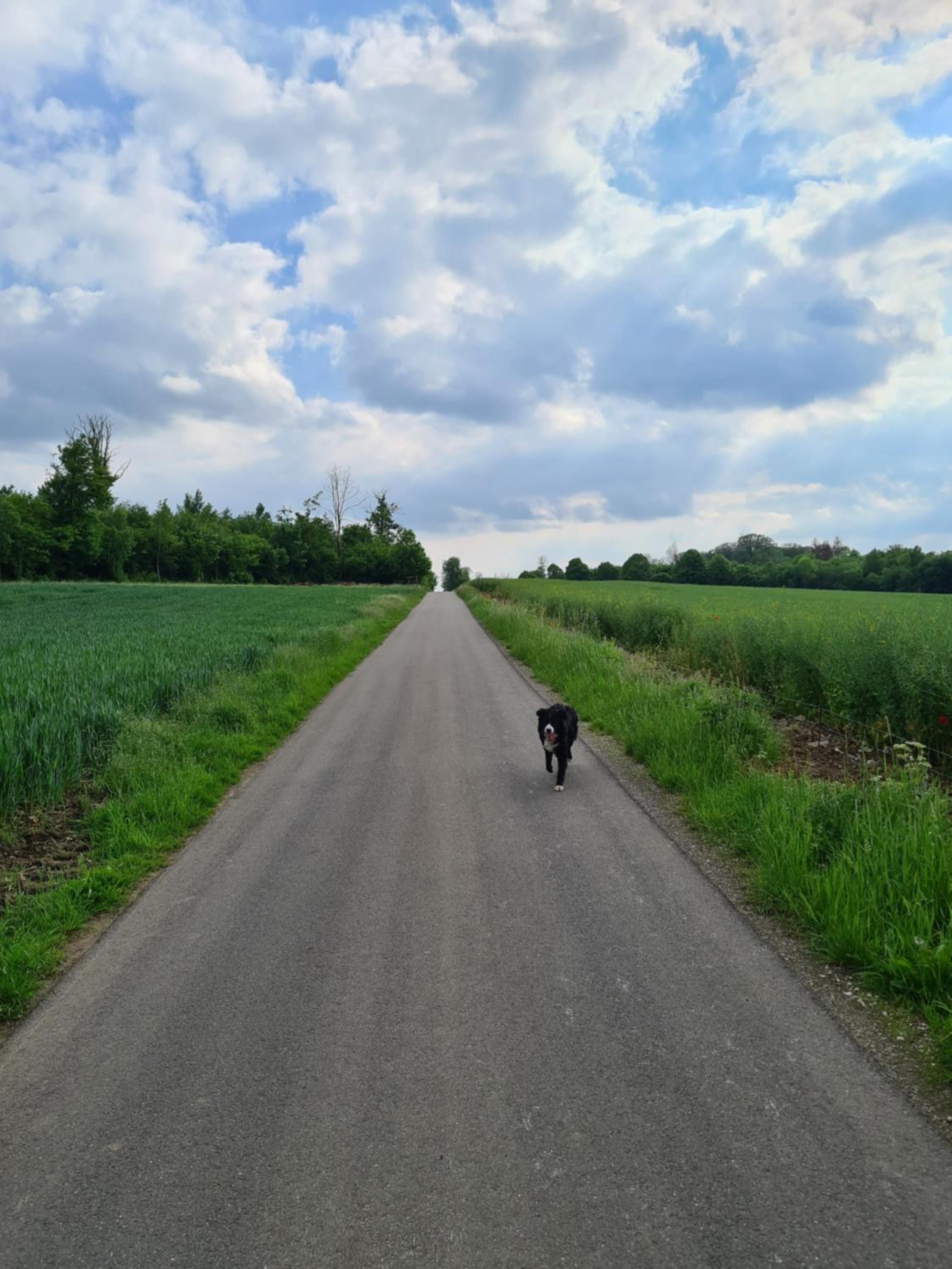 Gite La Petite Beurrerie des Ardennes