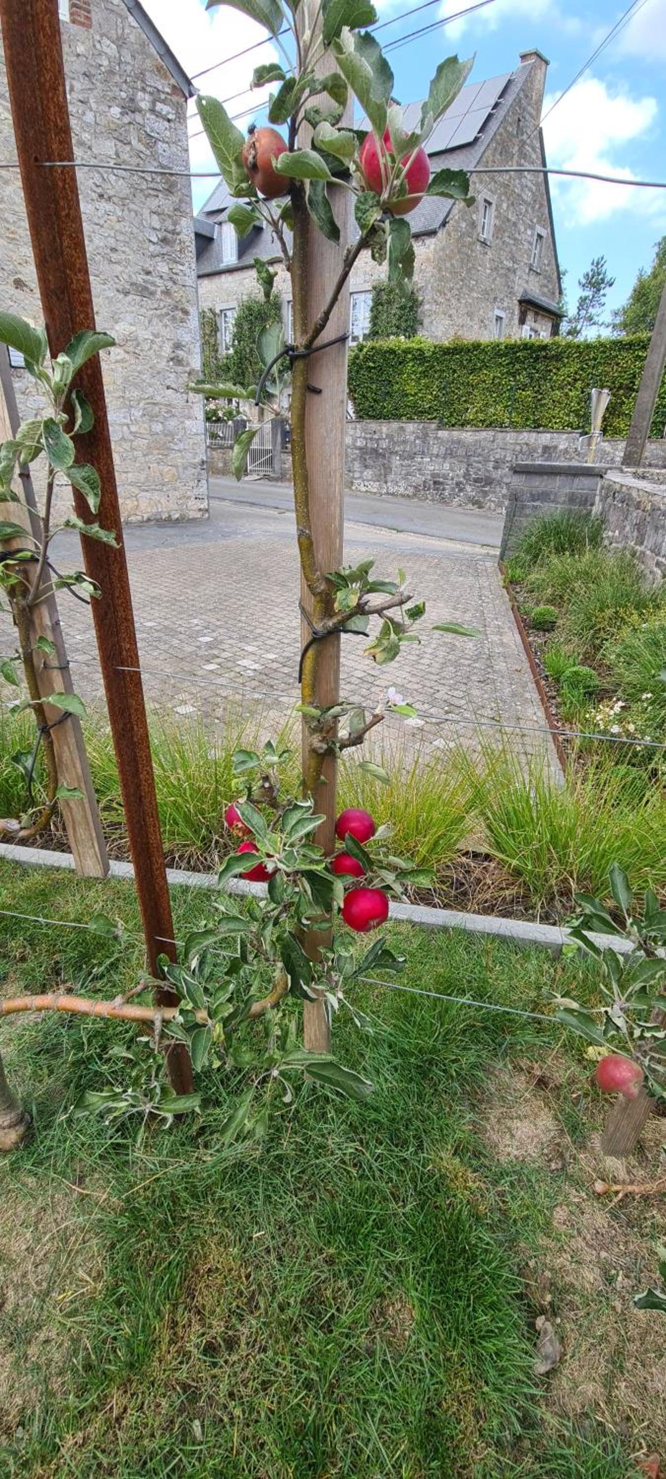 Gite La Petite Beurrerie des Ardennes