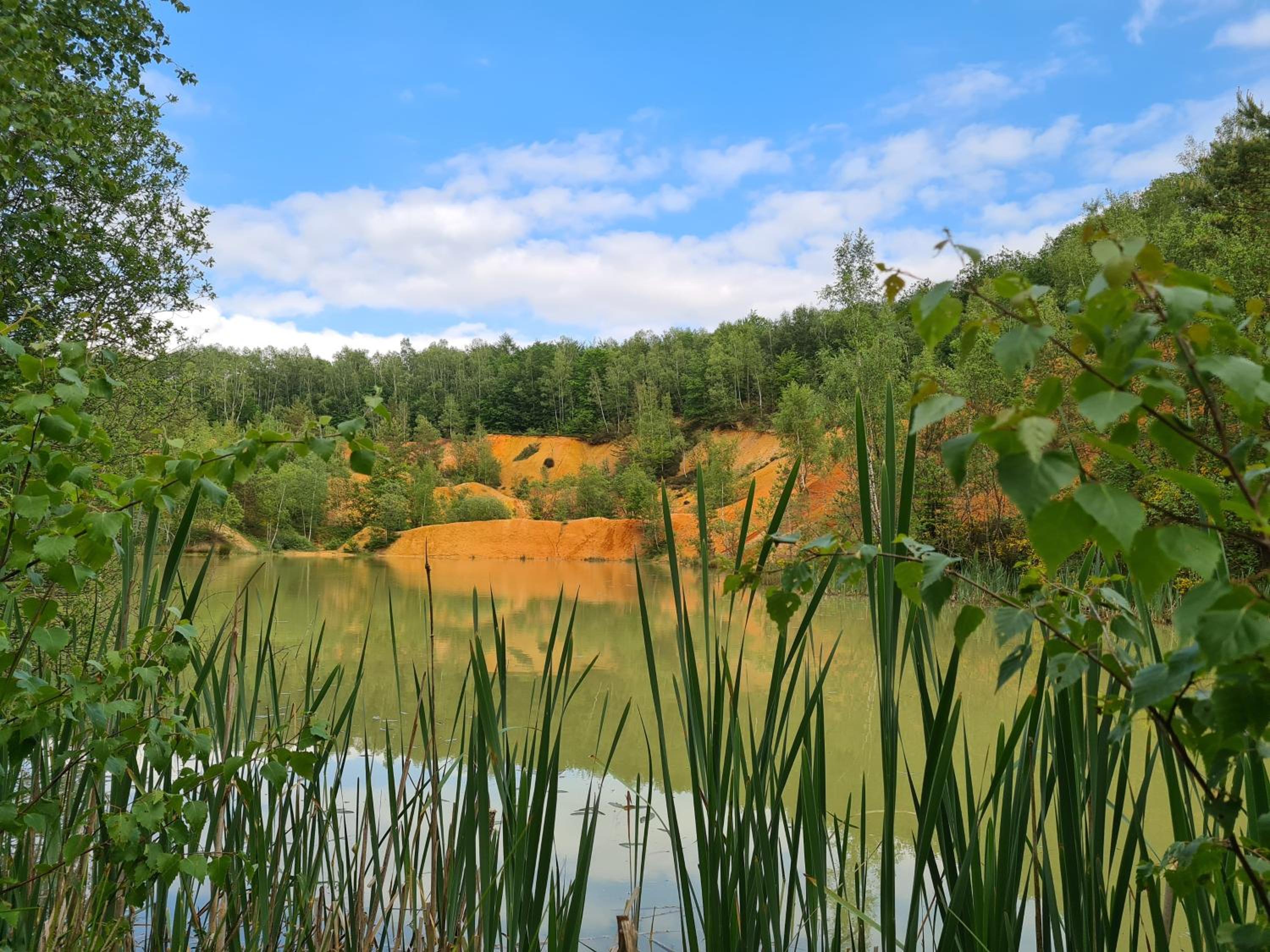 Gite La Petite Beurrerie des Ardennes