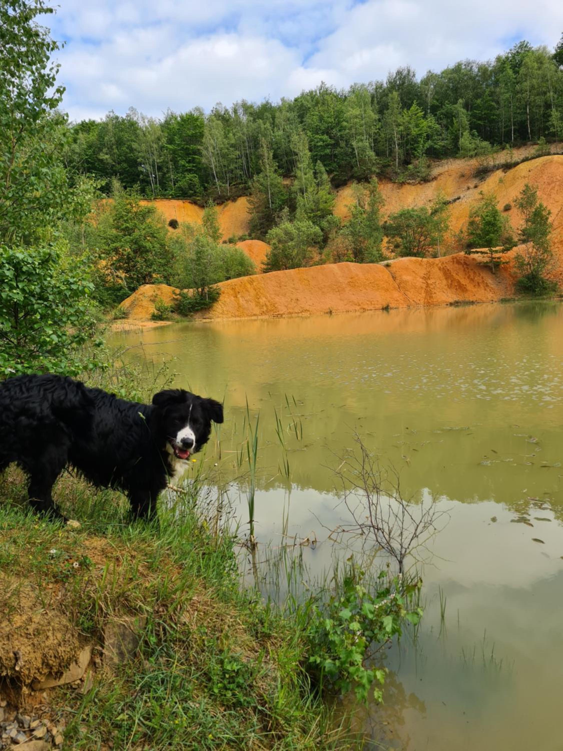 Gite La Petite Beurrerie des Ardennes