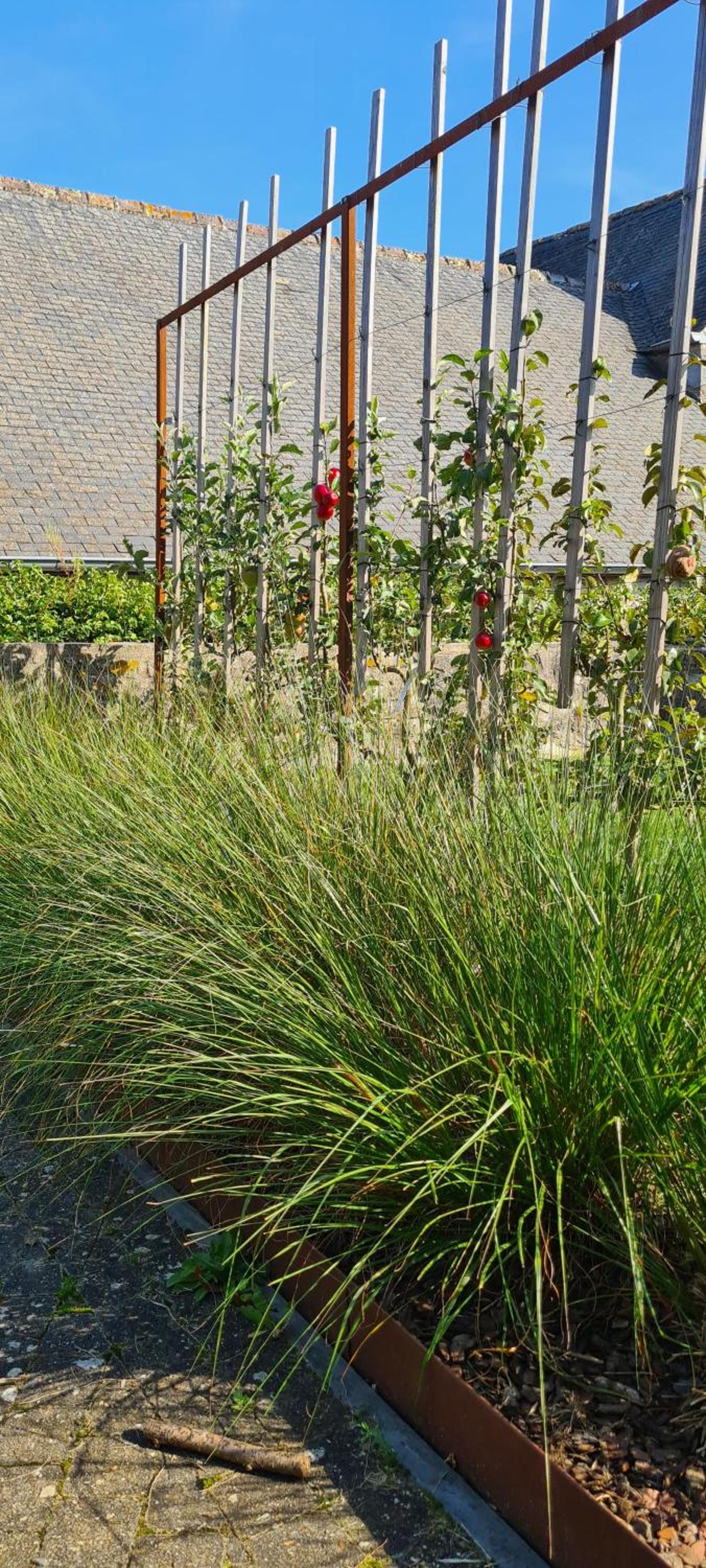 Gite La Petite Beurrerie des Ardennes