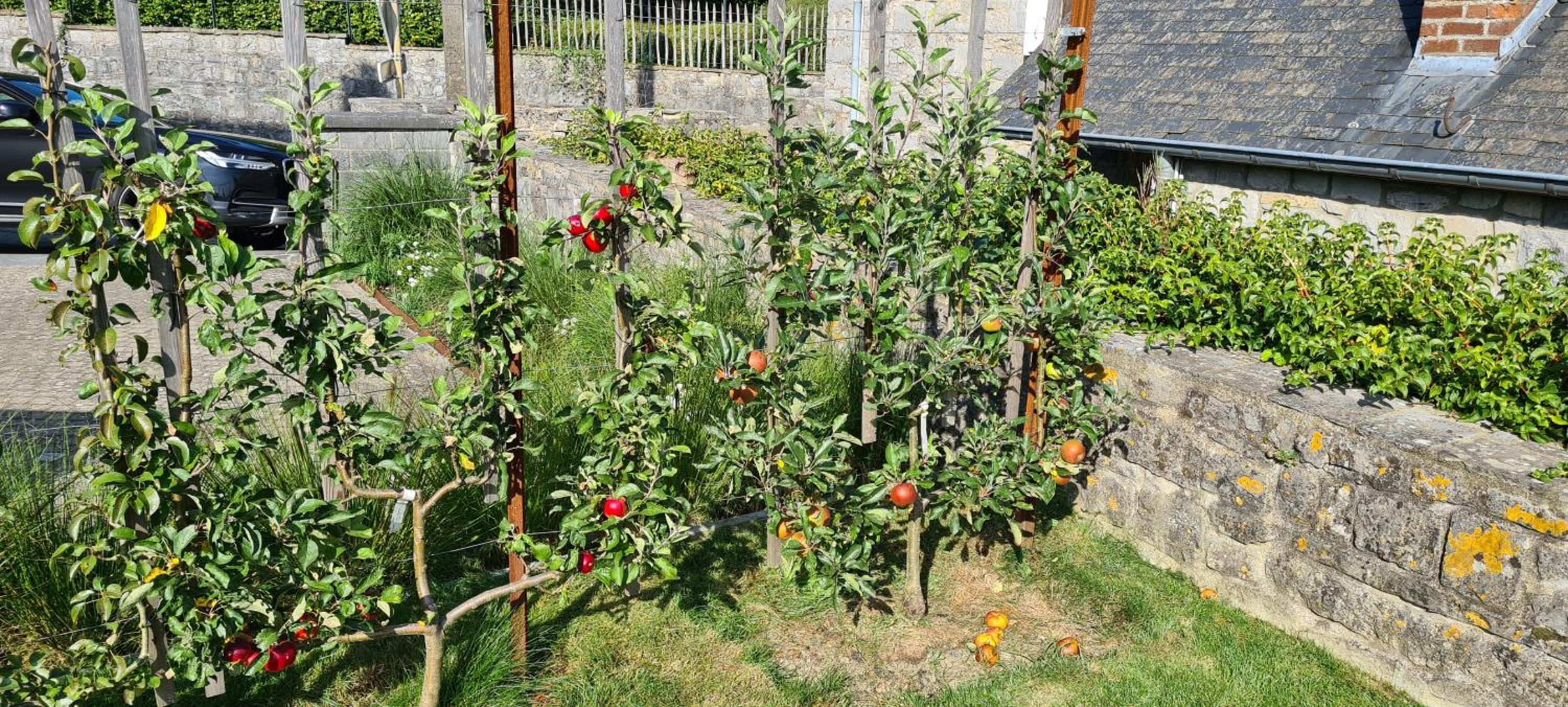 Gite La Petite Beurrerie des Ardennes