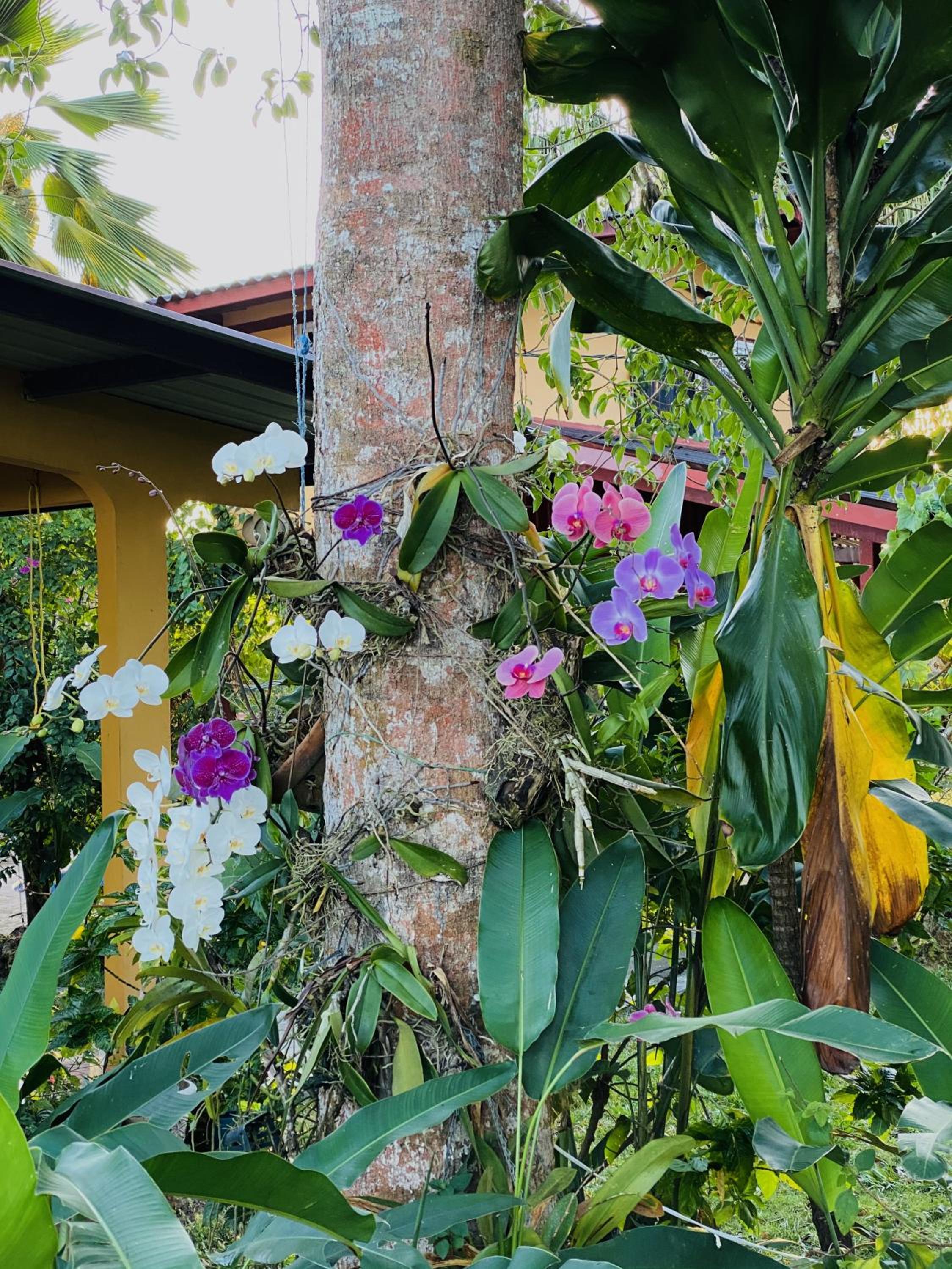 A Piece of Paradise