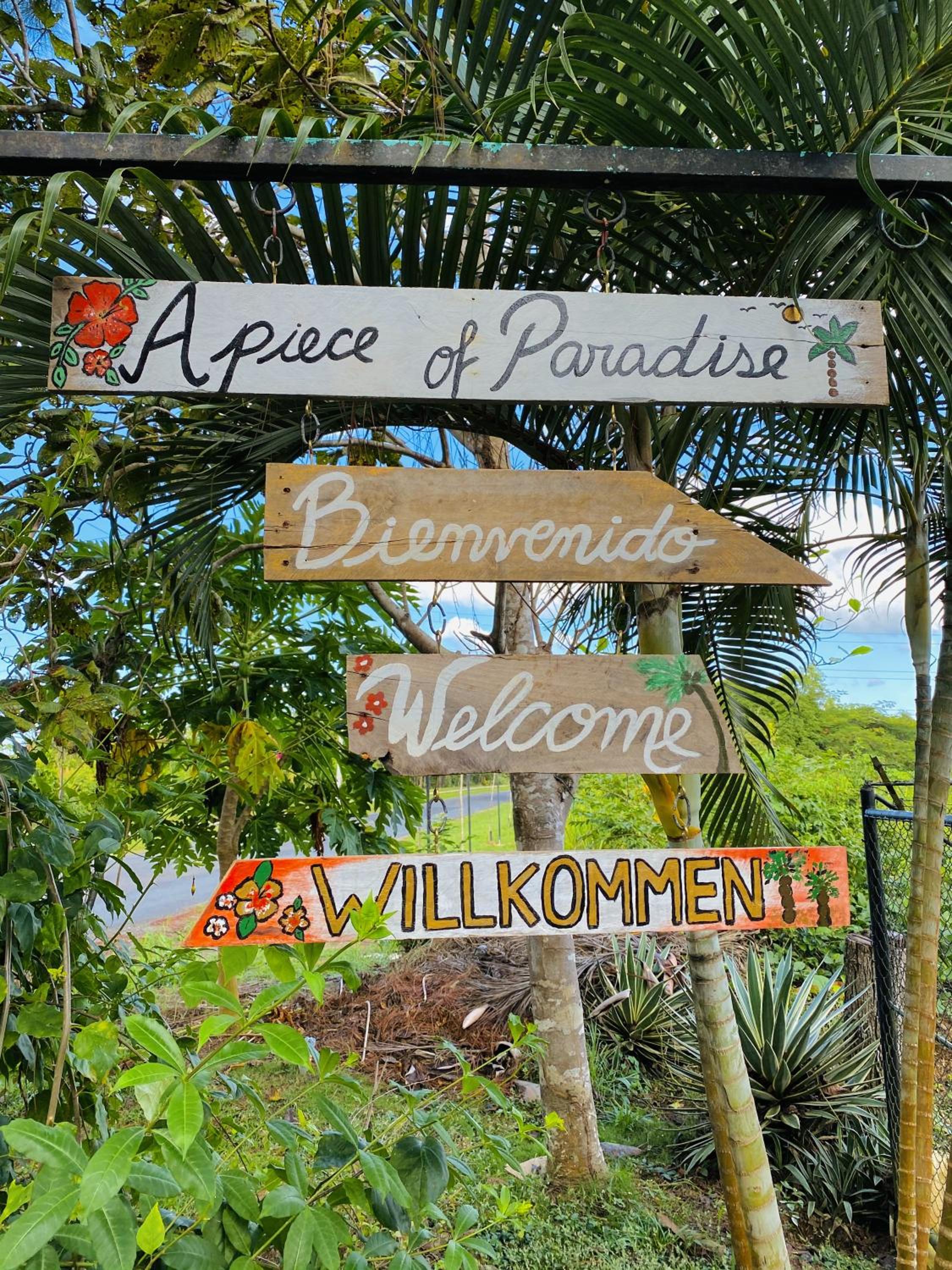 A Piece of Paradise