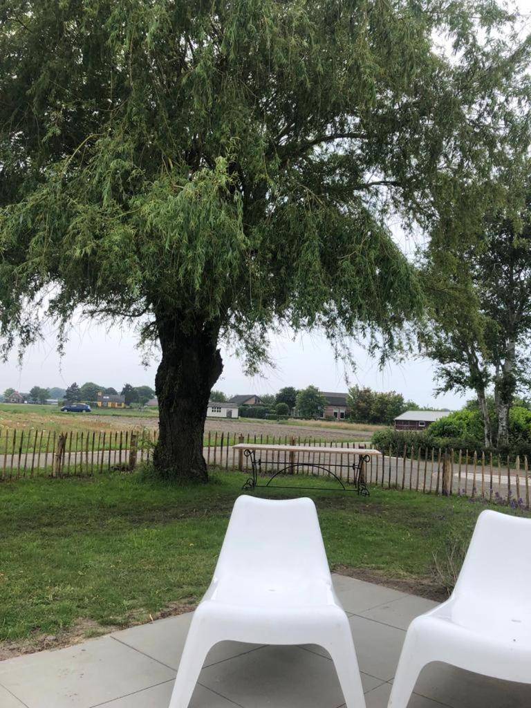 Country house between Egmond aan Zee & Amsterdam view 4