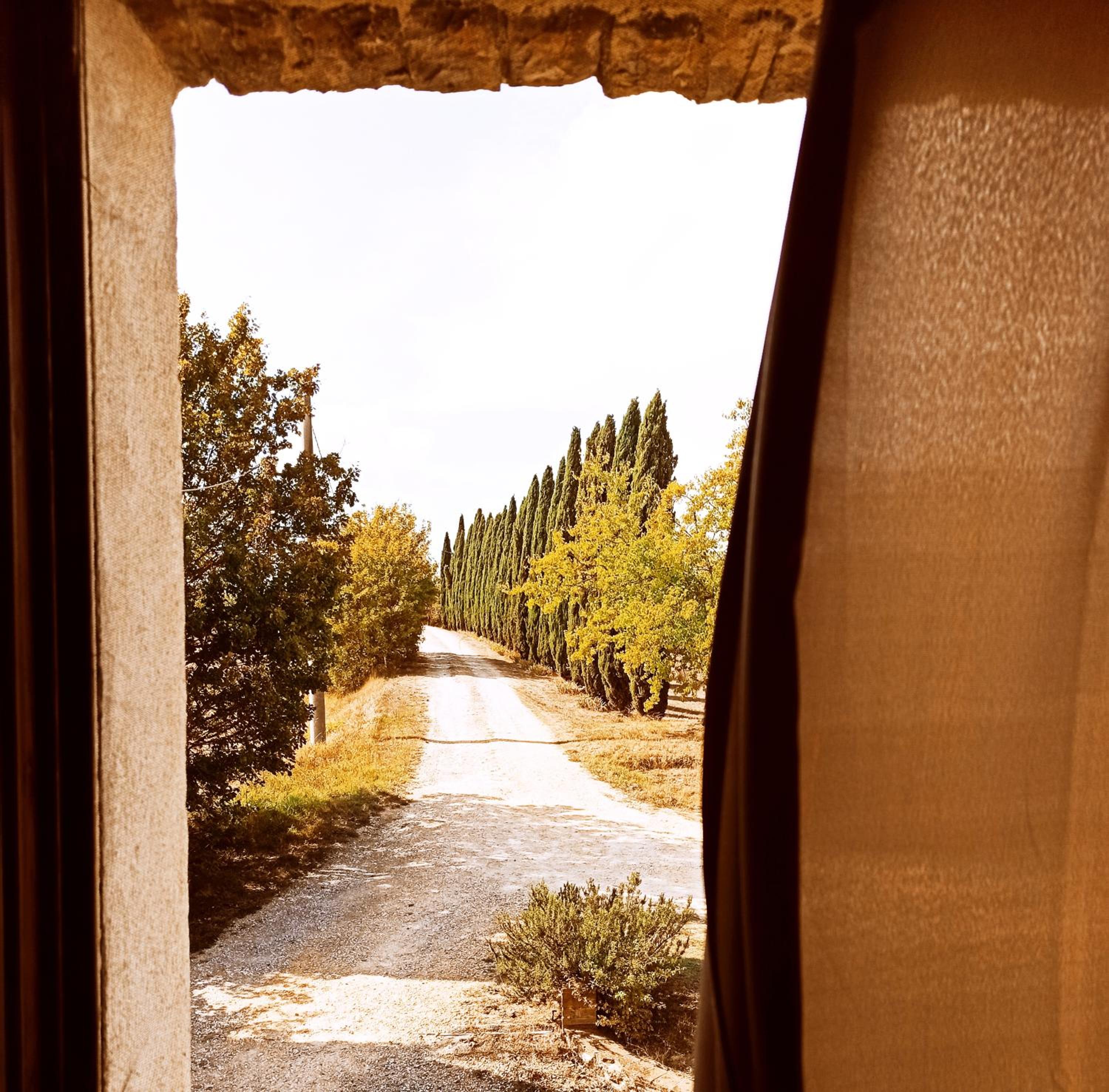 Podere Cartaio Bio Farm, private pool, AirC