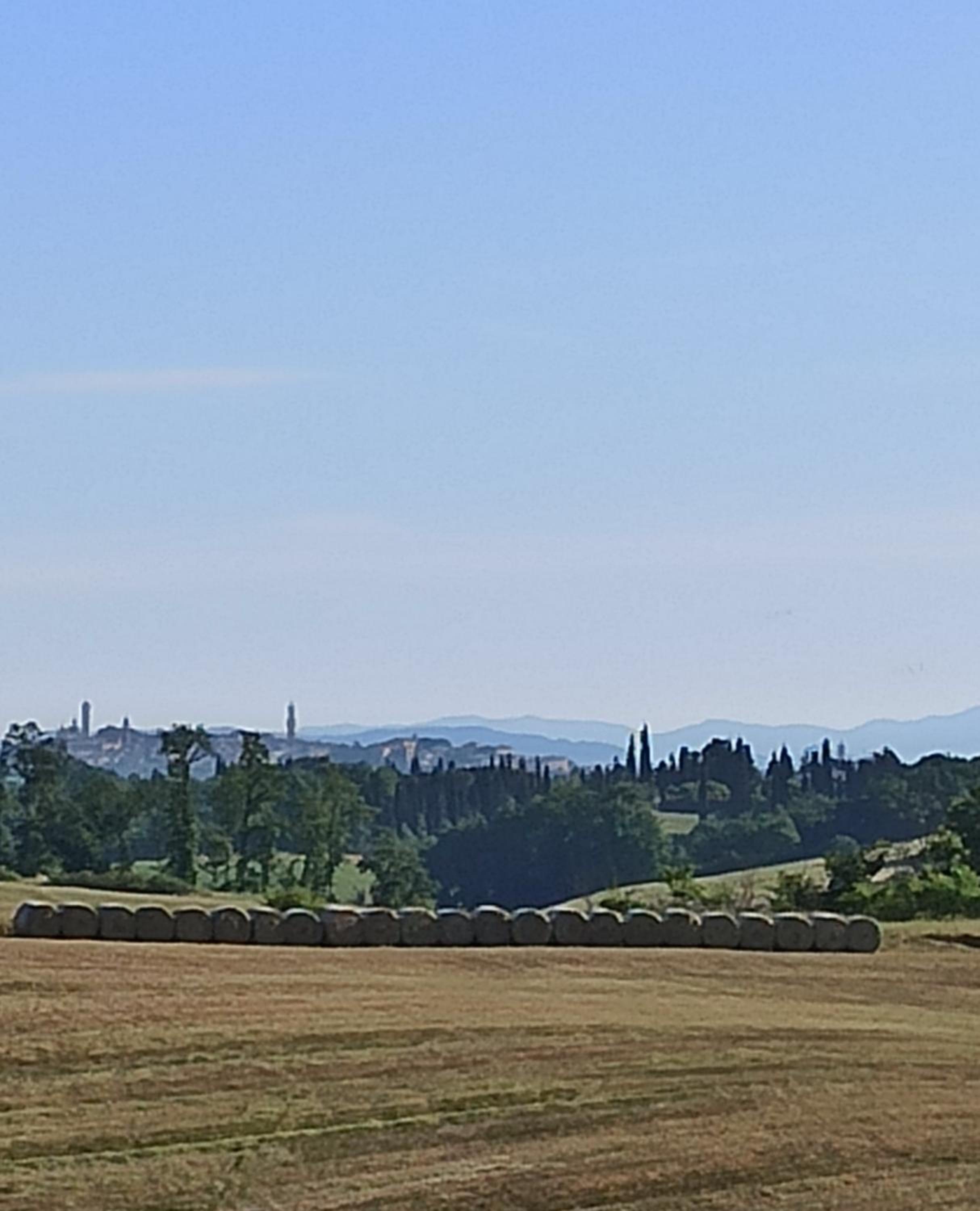 Podere Cartaio Bio Farm, private pool, AirC