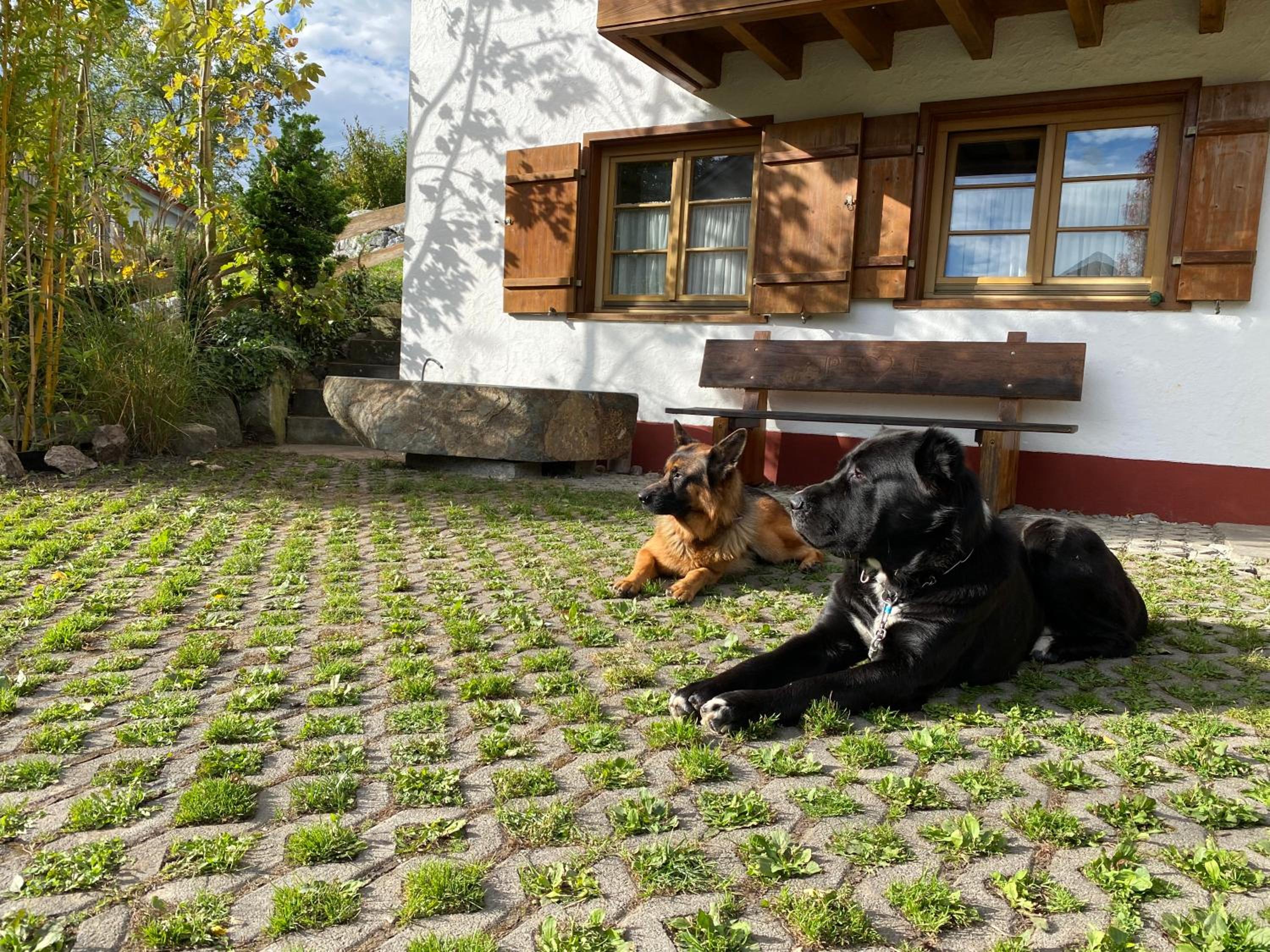 Pia's Nature Retreat