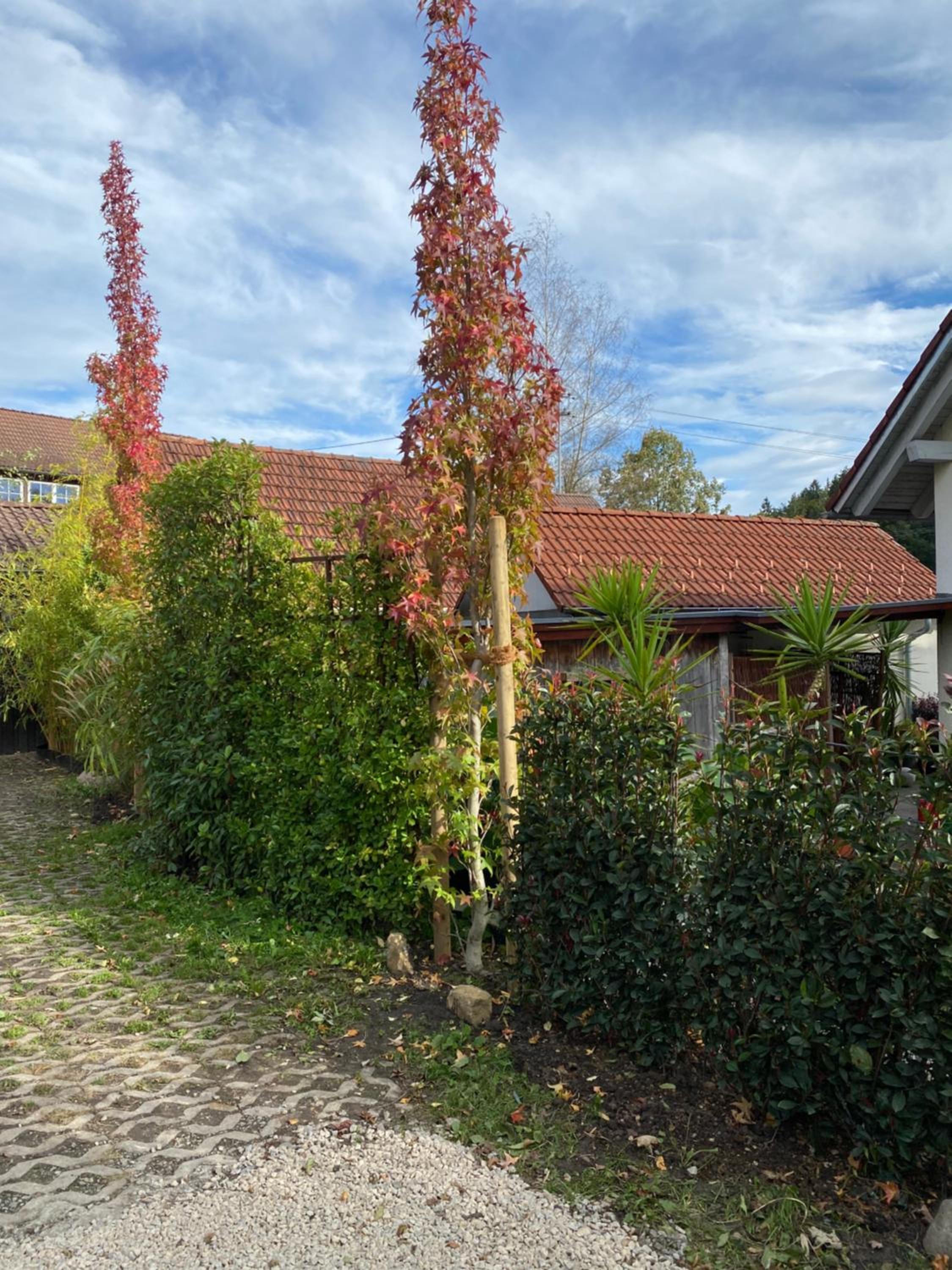 Pia's Nature Retreat
