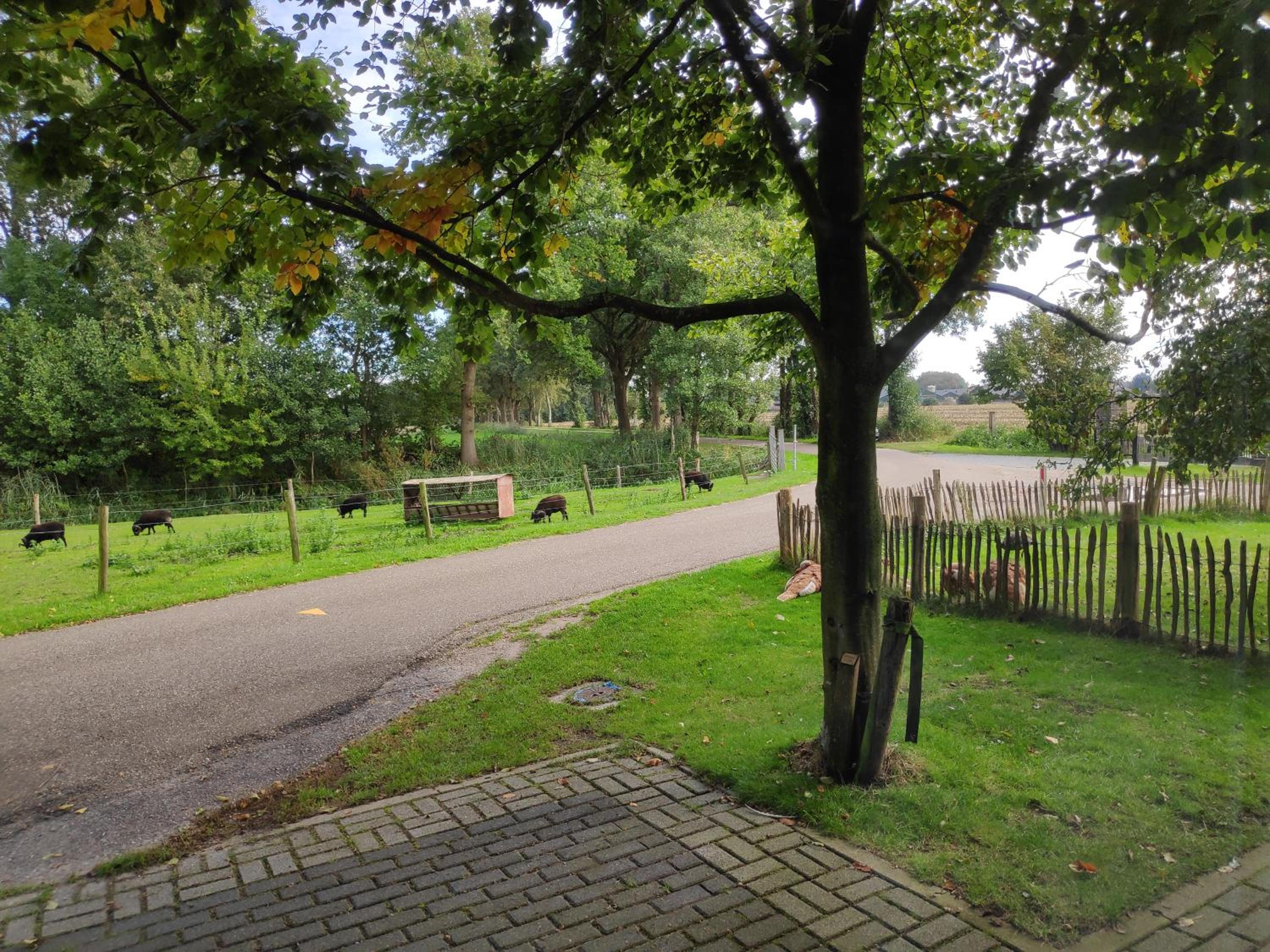 Photo 22