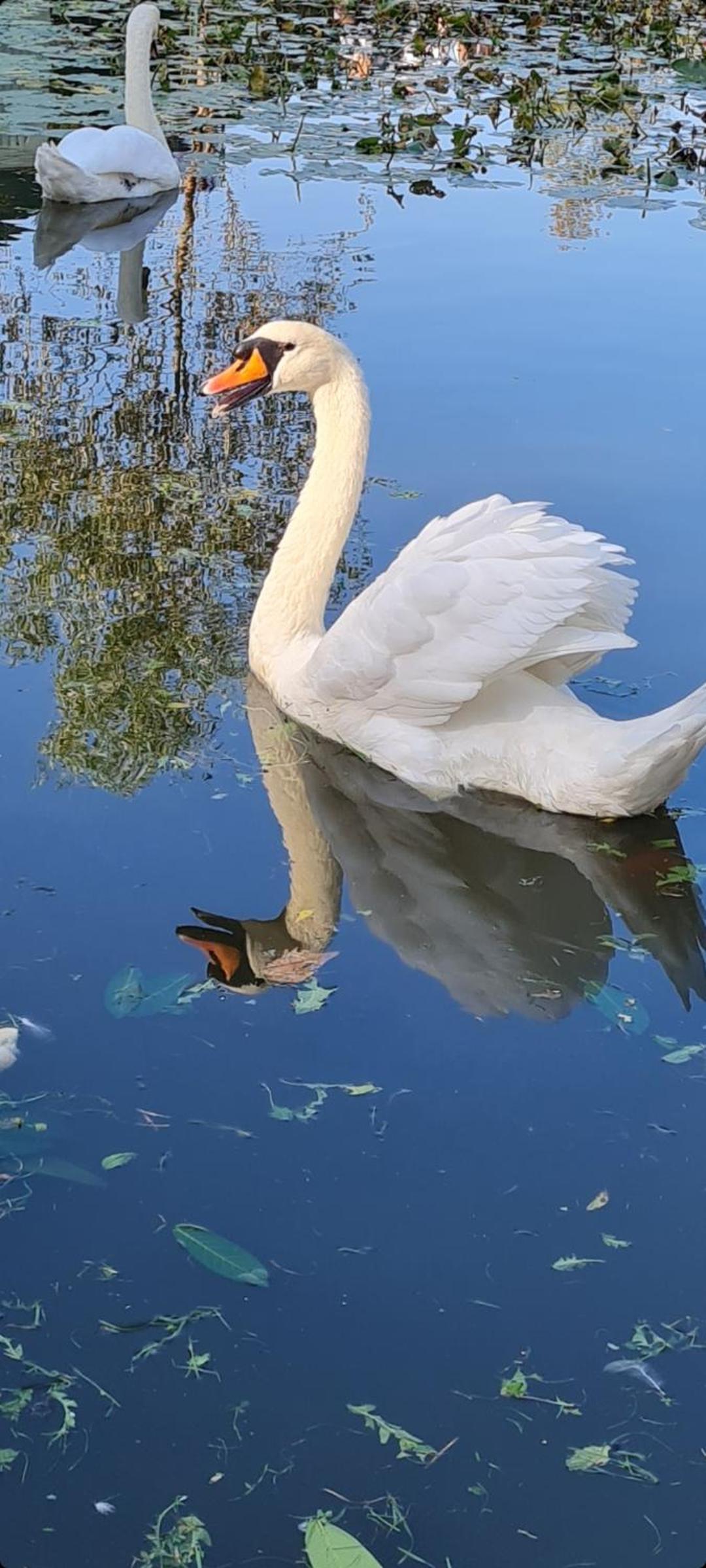 Photo 35