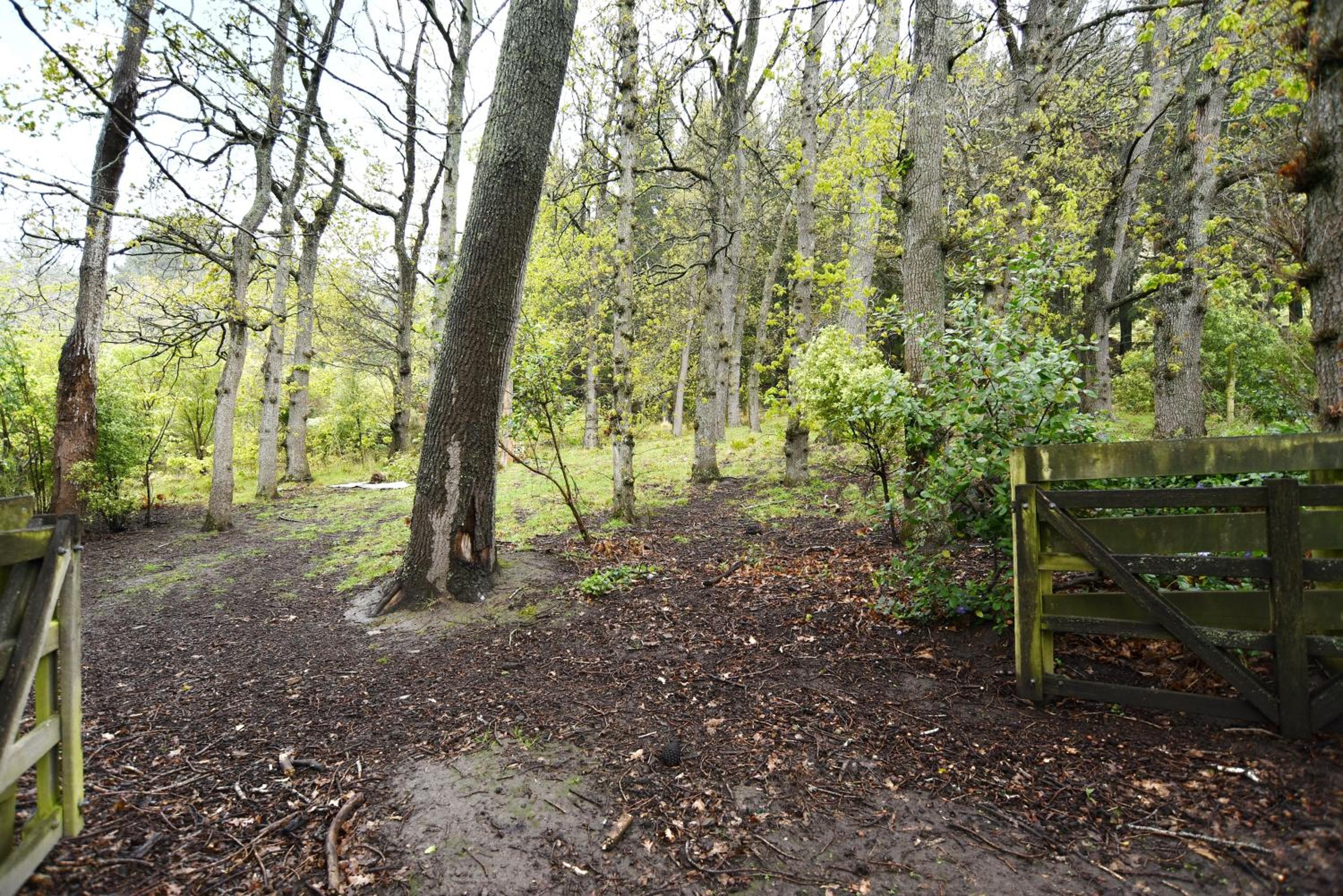 Photo 14