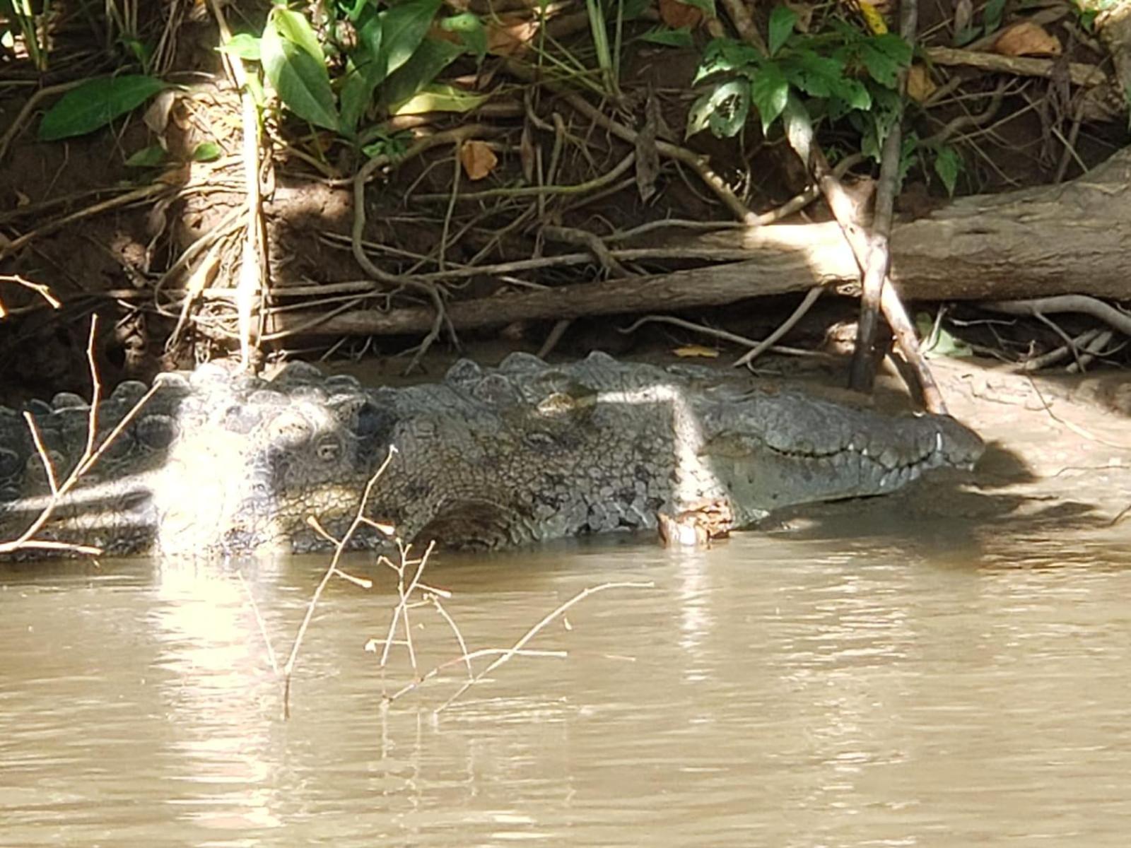 Hospedaje Casa THIREMA Tortuguero