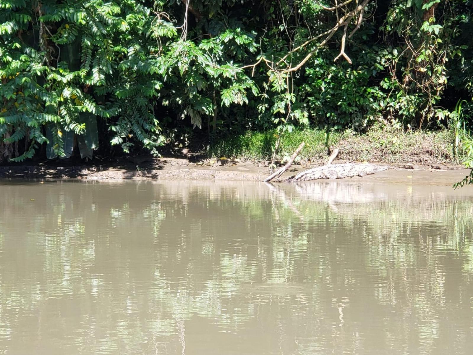 Hospedaje Casa THIREMA Tortuguero