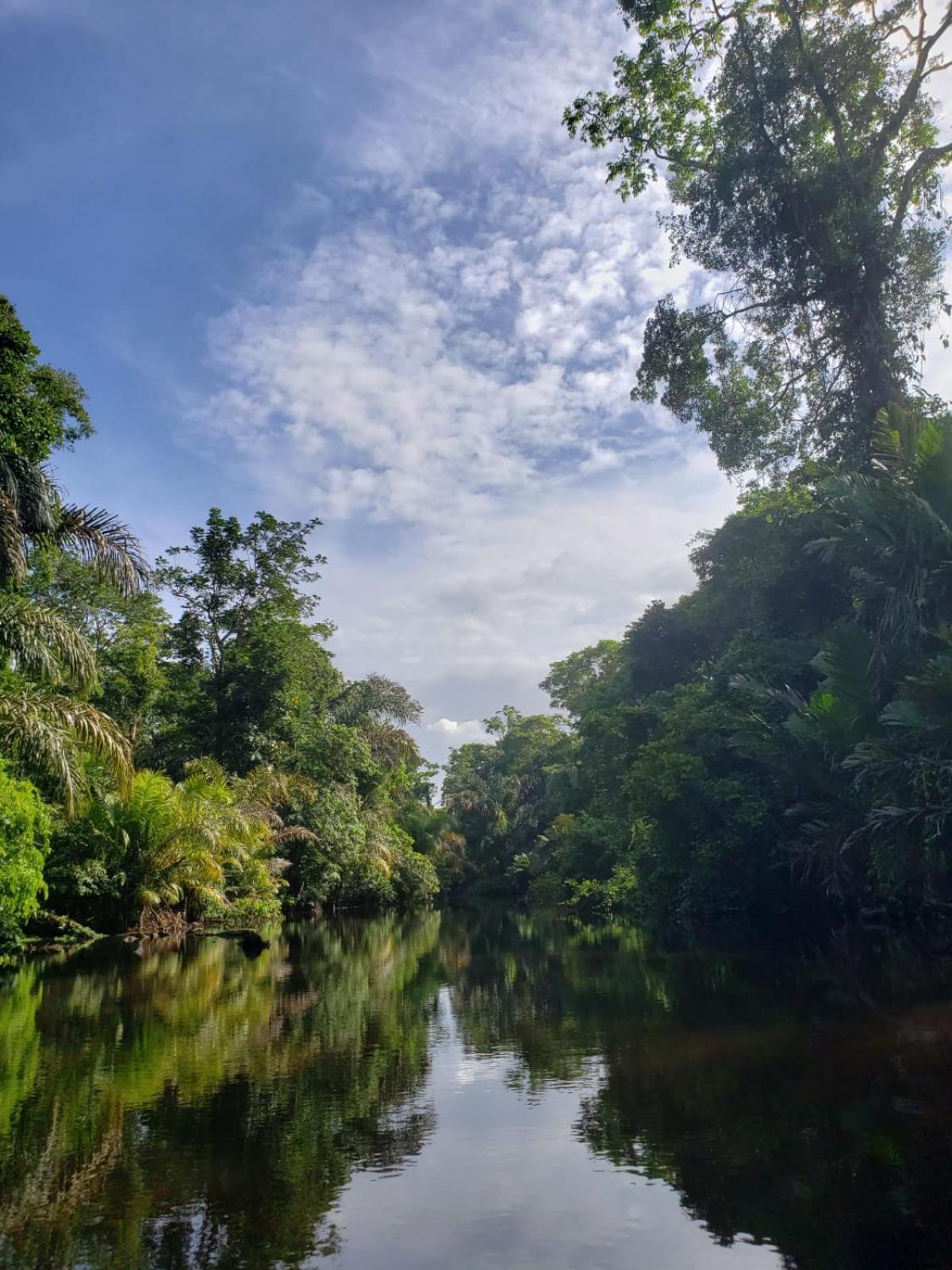 Hospedaje Casa THIREMA Tortuguero